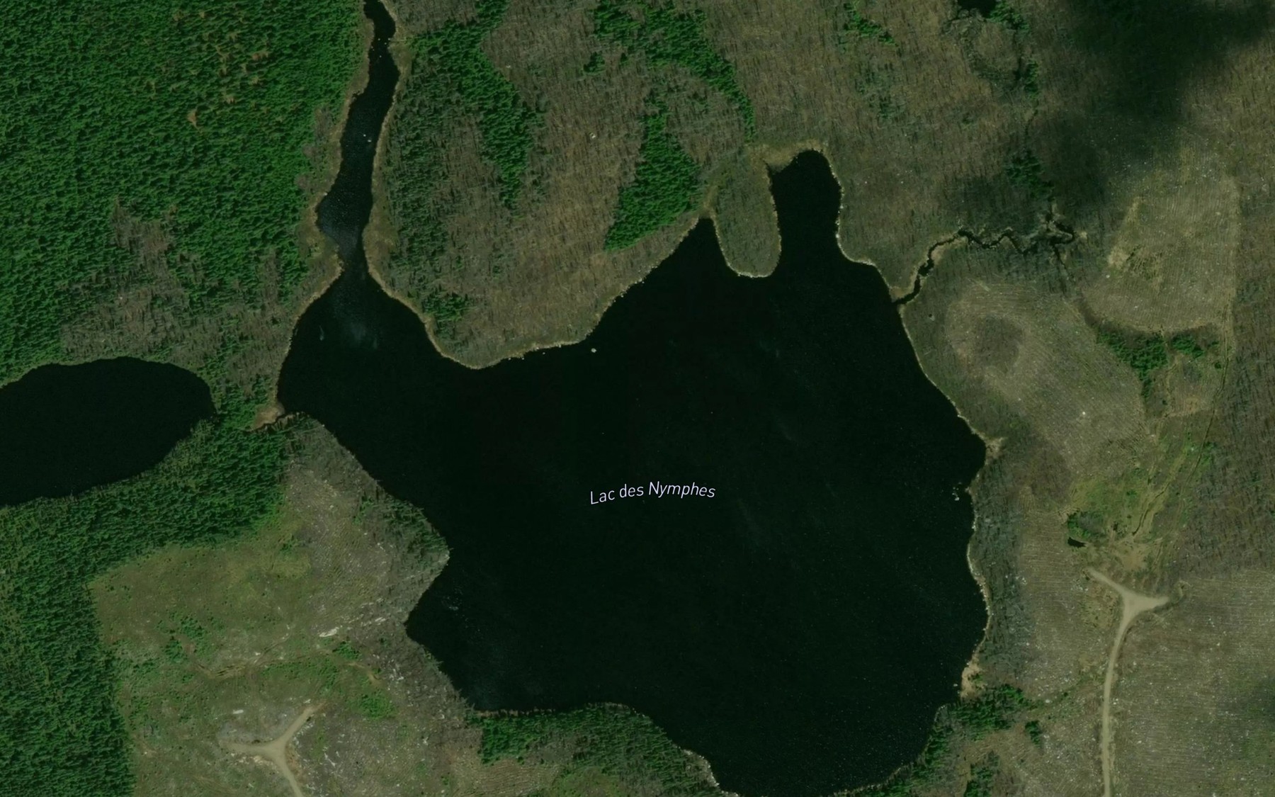 Satellite map of the Lac des Nymphes