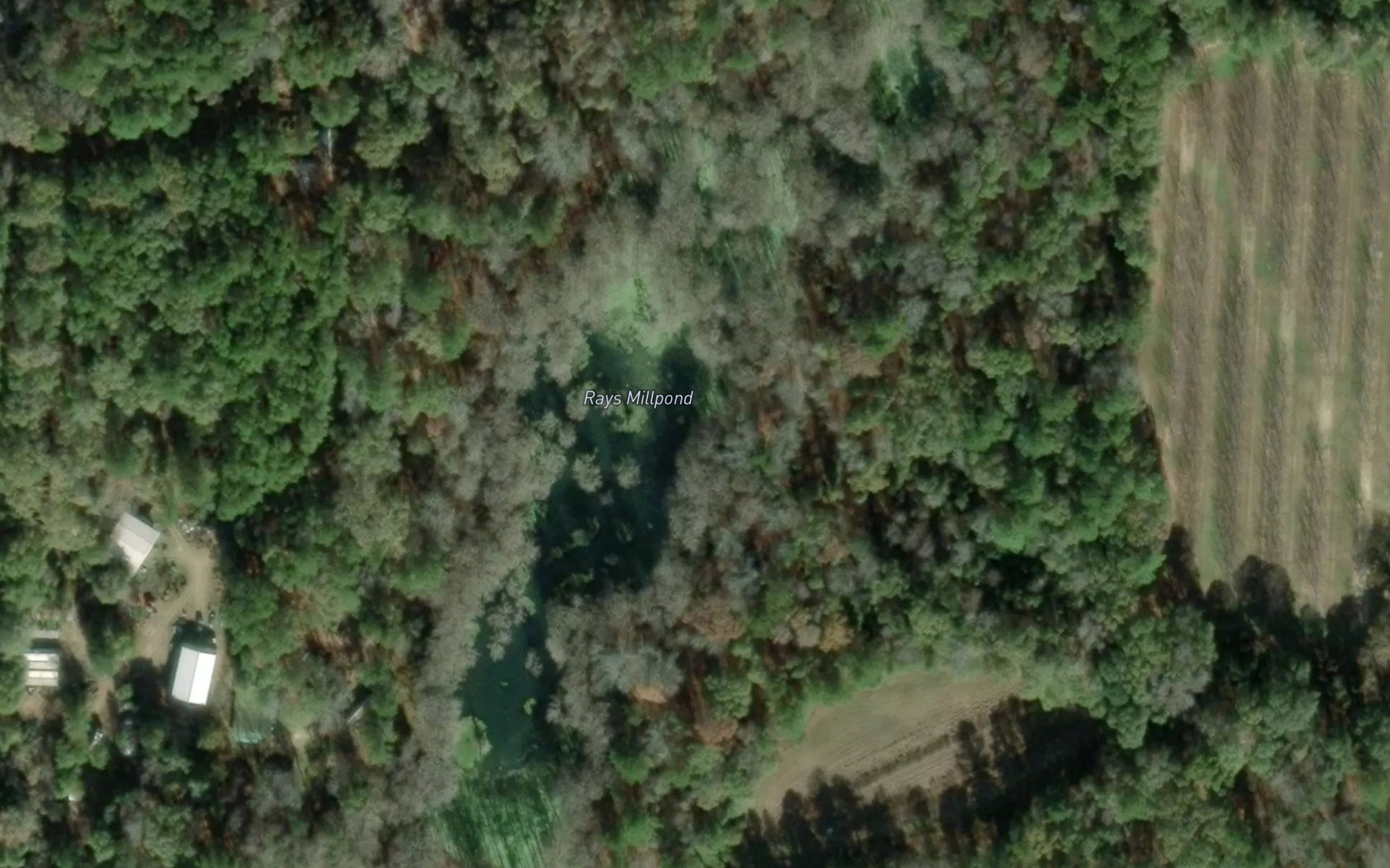 Satellite map of the Rays Millpond