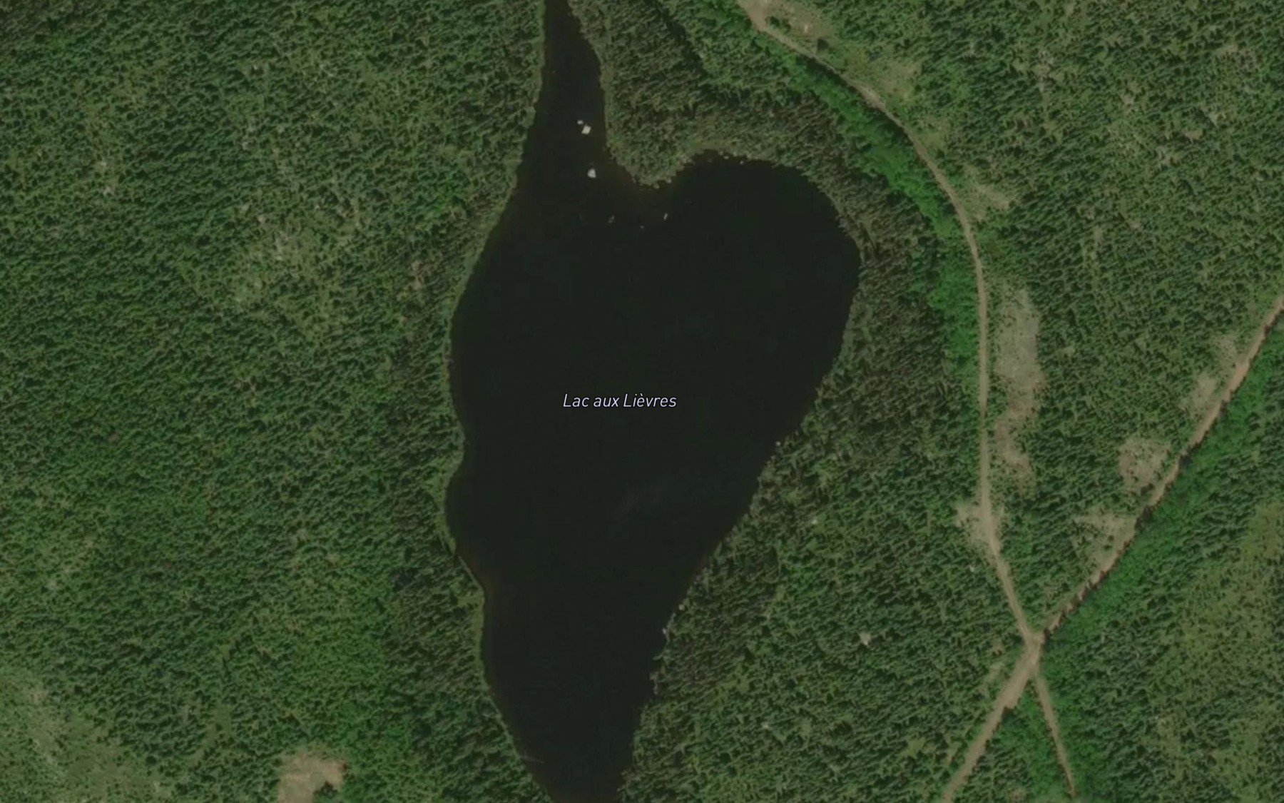 Satellite map of the Lac aux Lievres