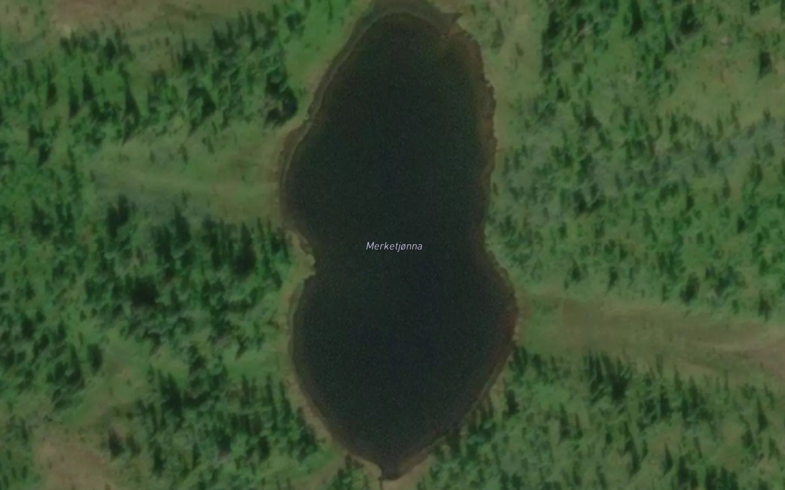 Merketjonna