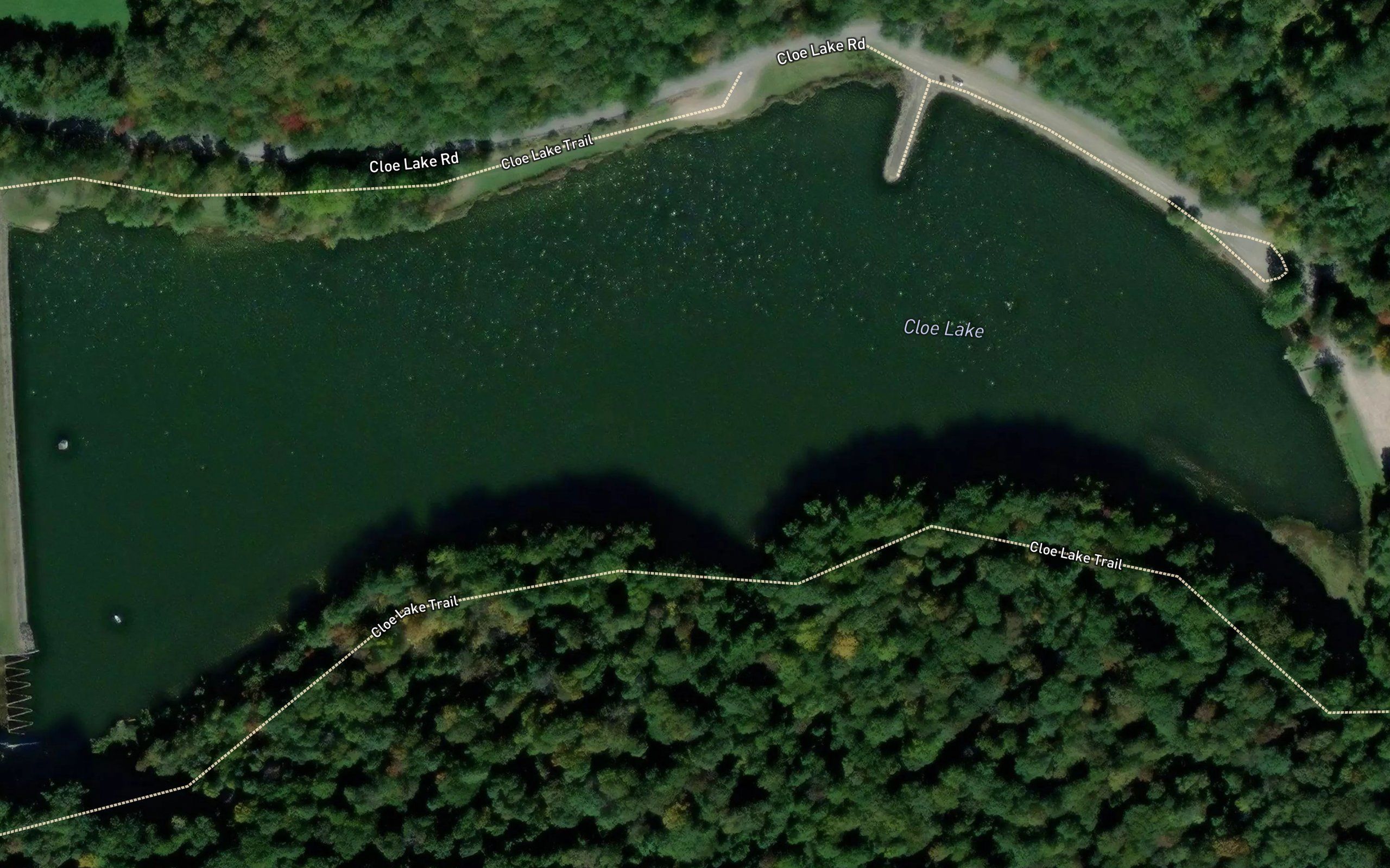 Cloe Lake