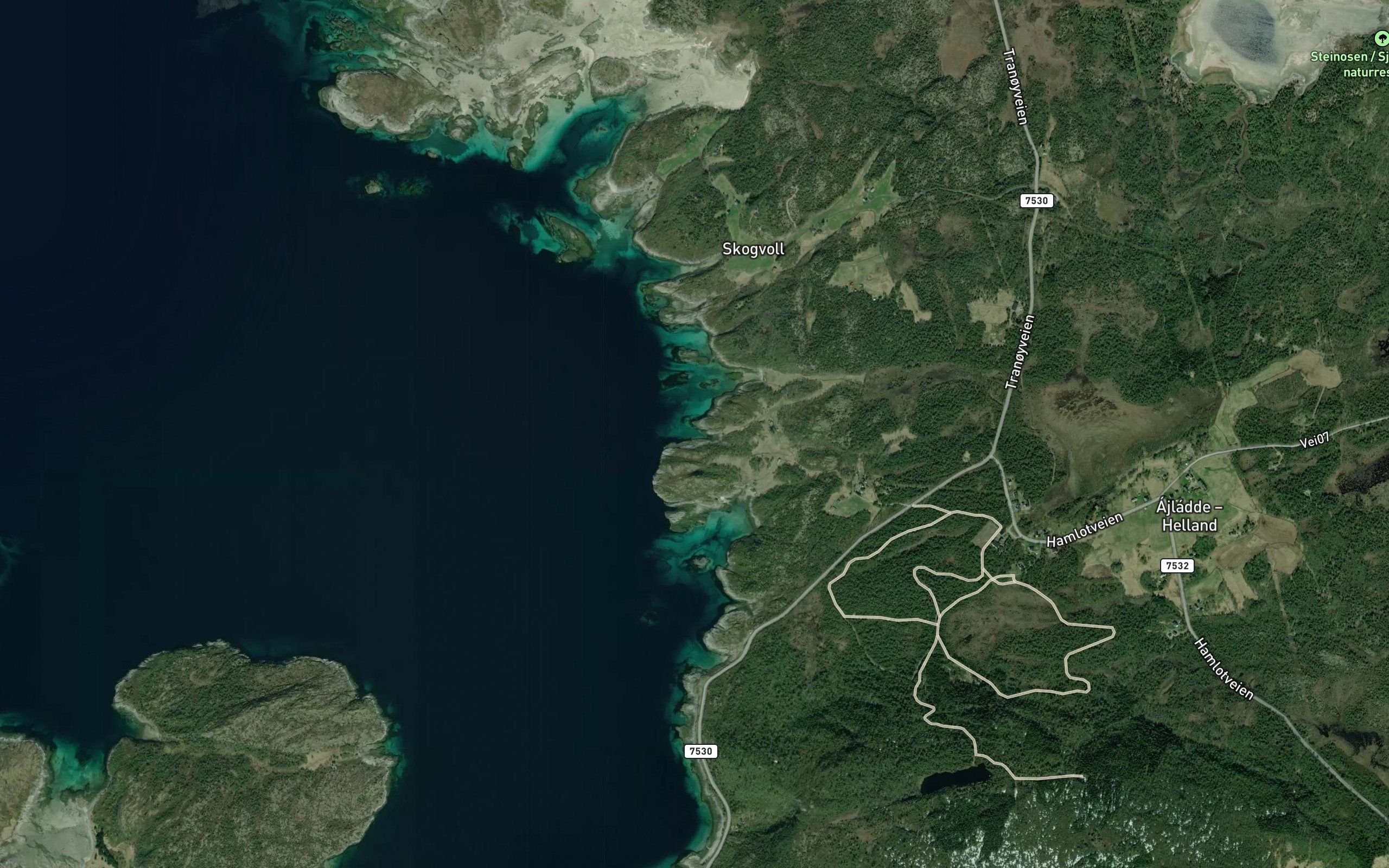 Rugvika