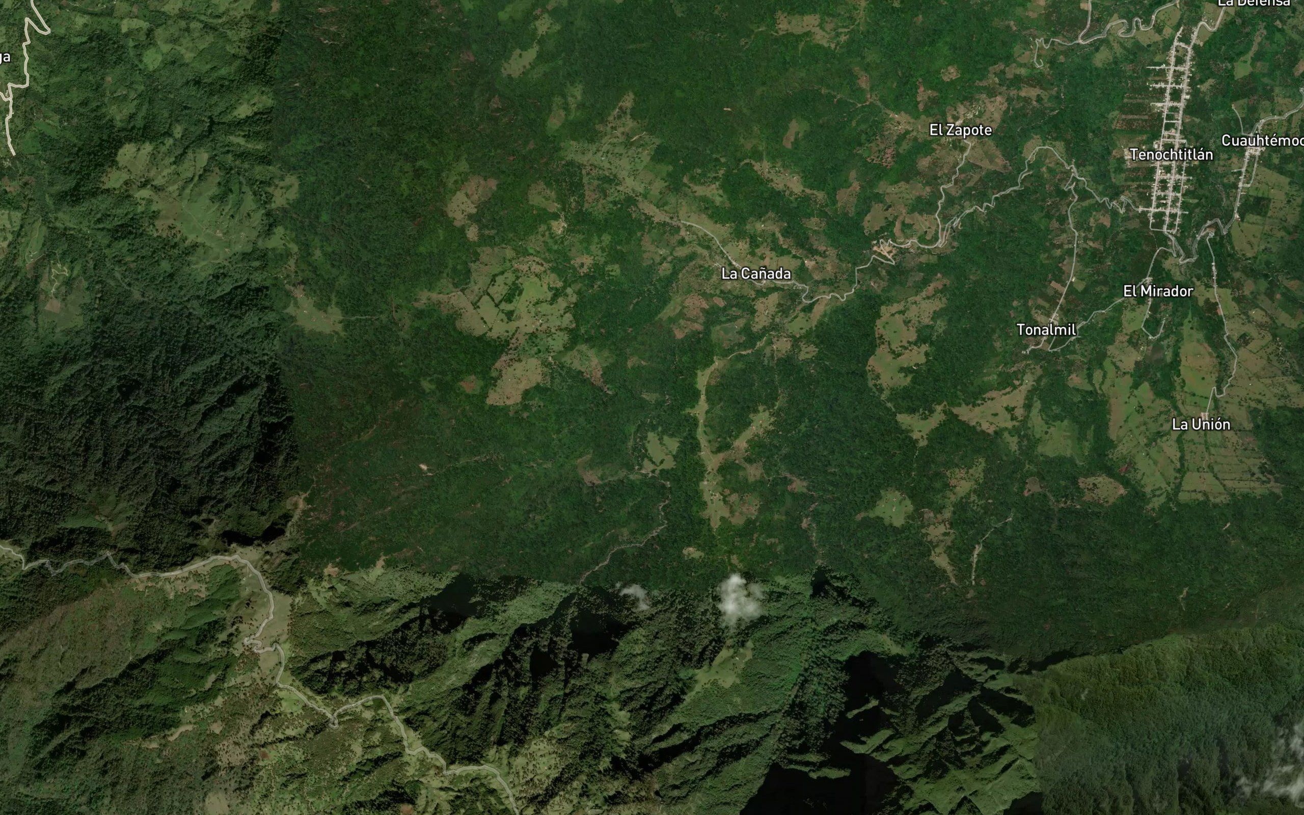 La Nopalera