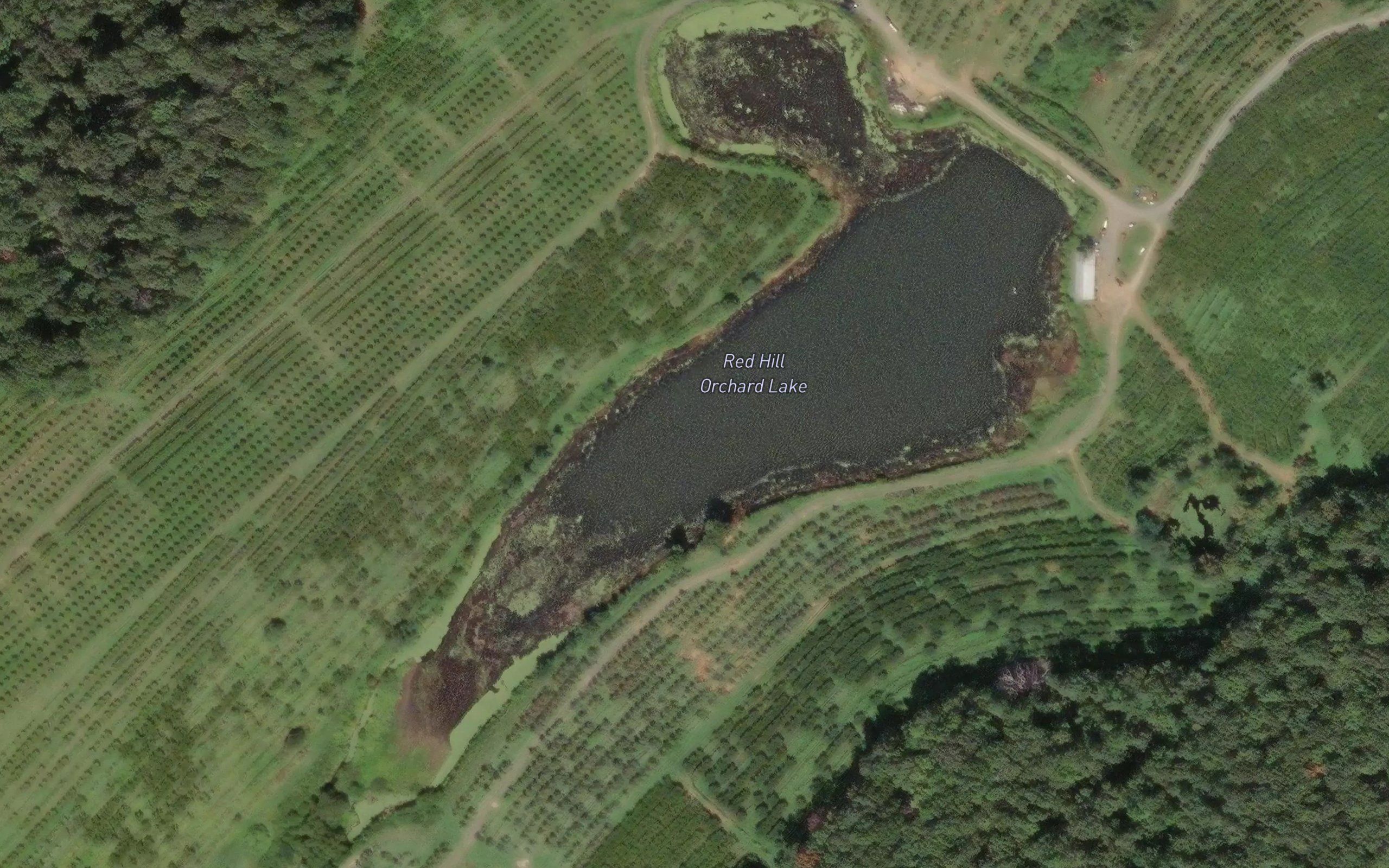 Red Hill Orchard Lake