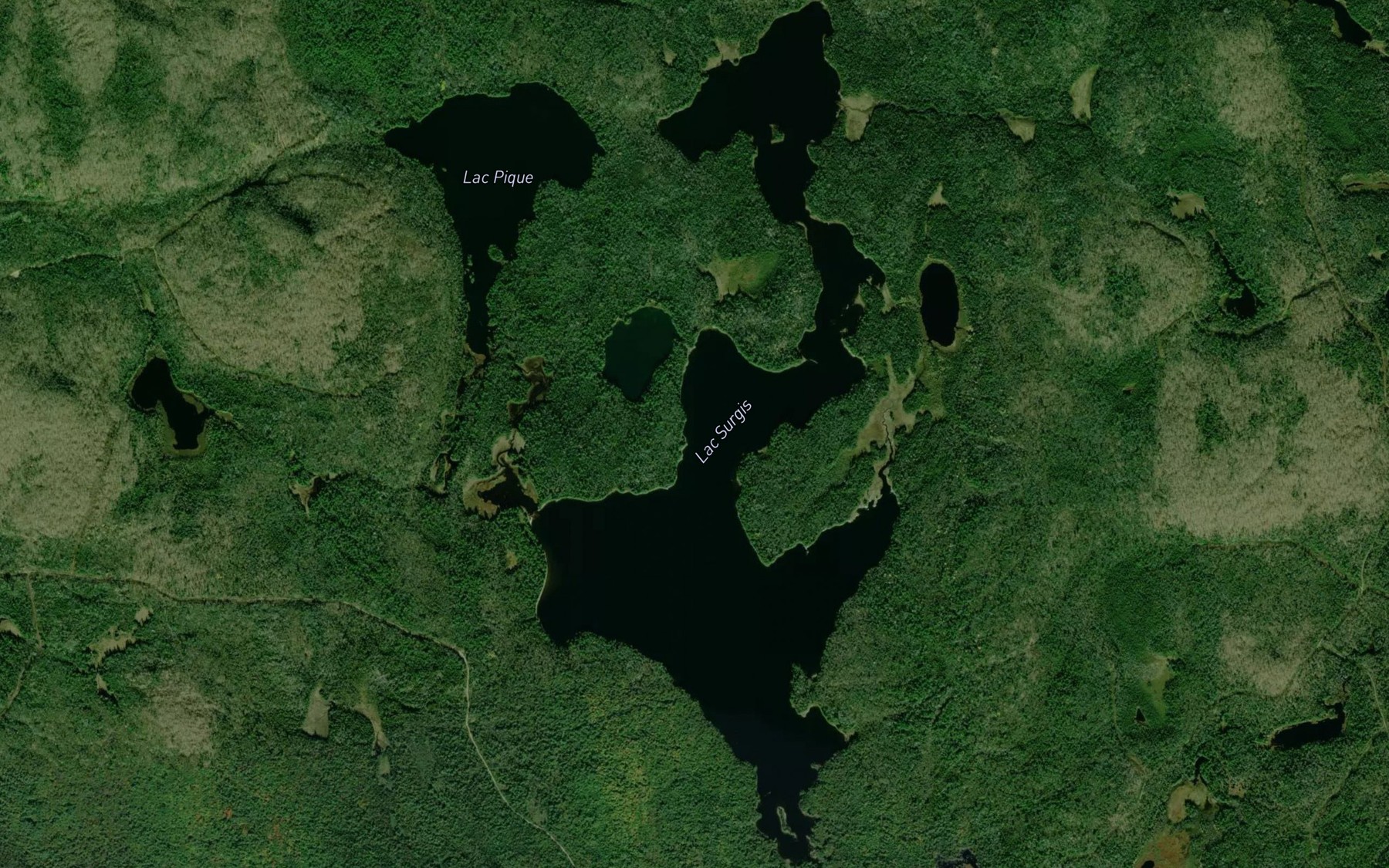 Satellite map of the Lac Surgis