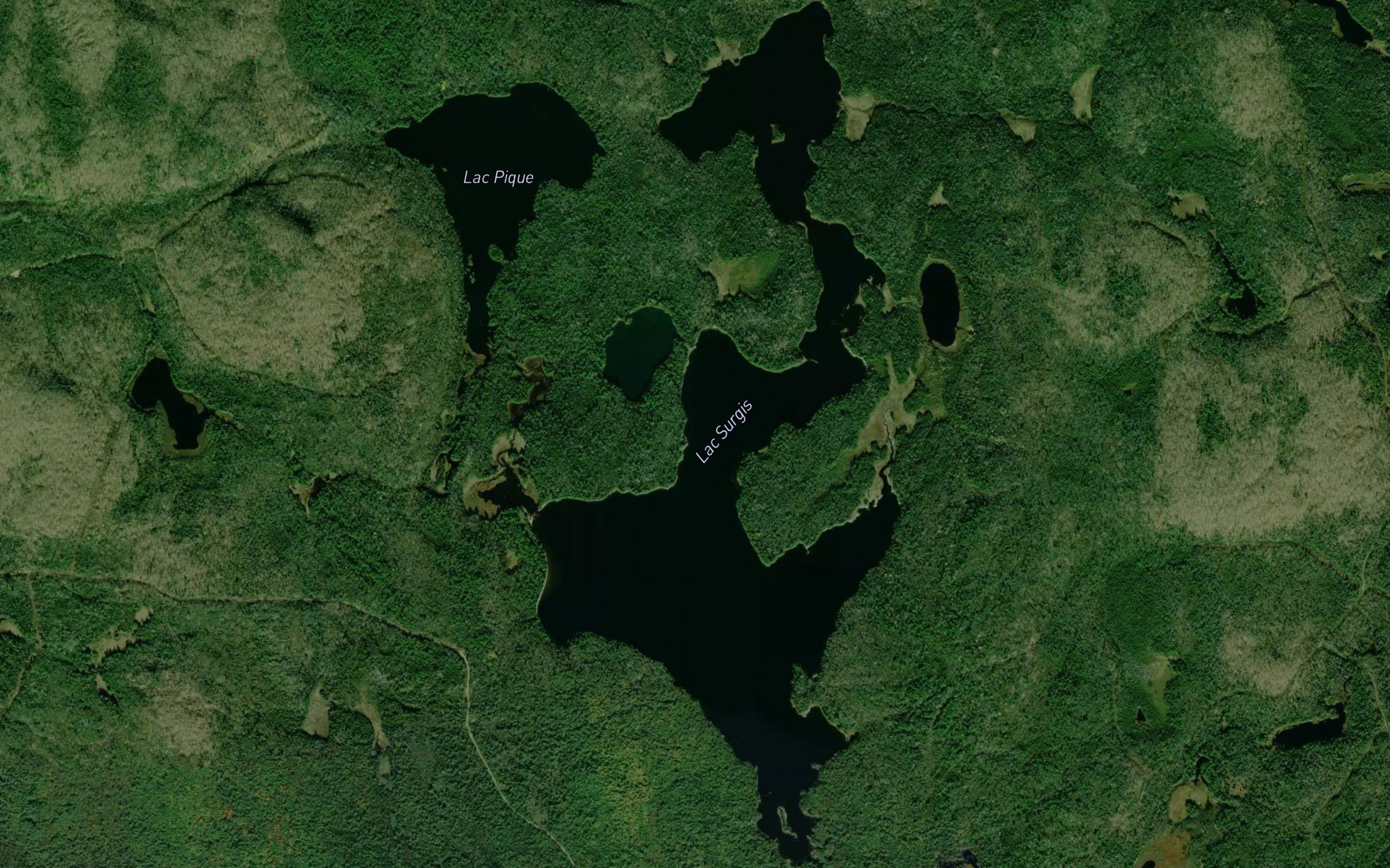 Lac Surgis
