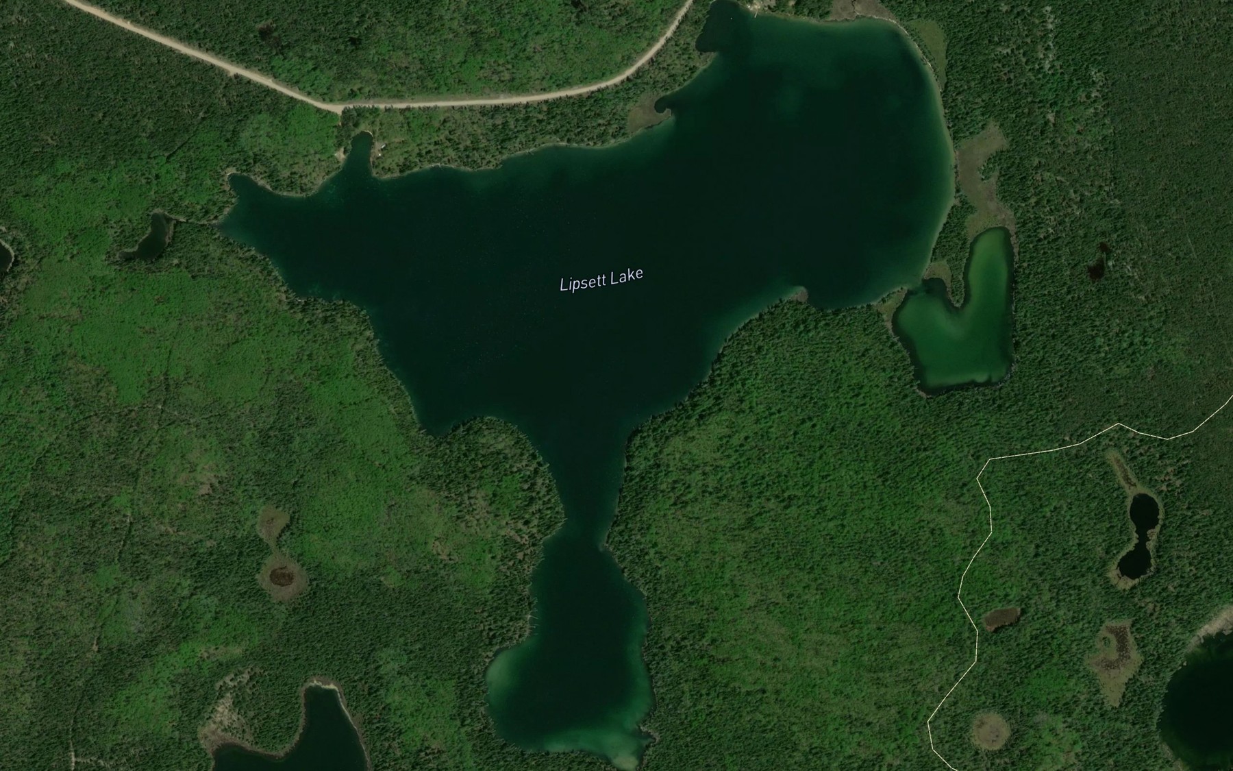 Satellite map of the Lipsett Lake