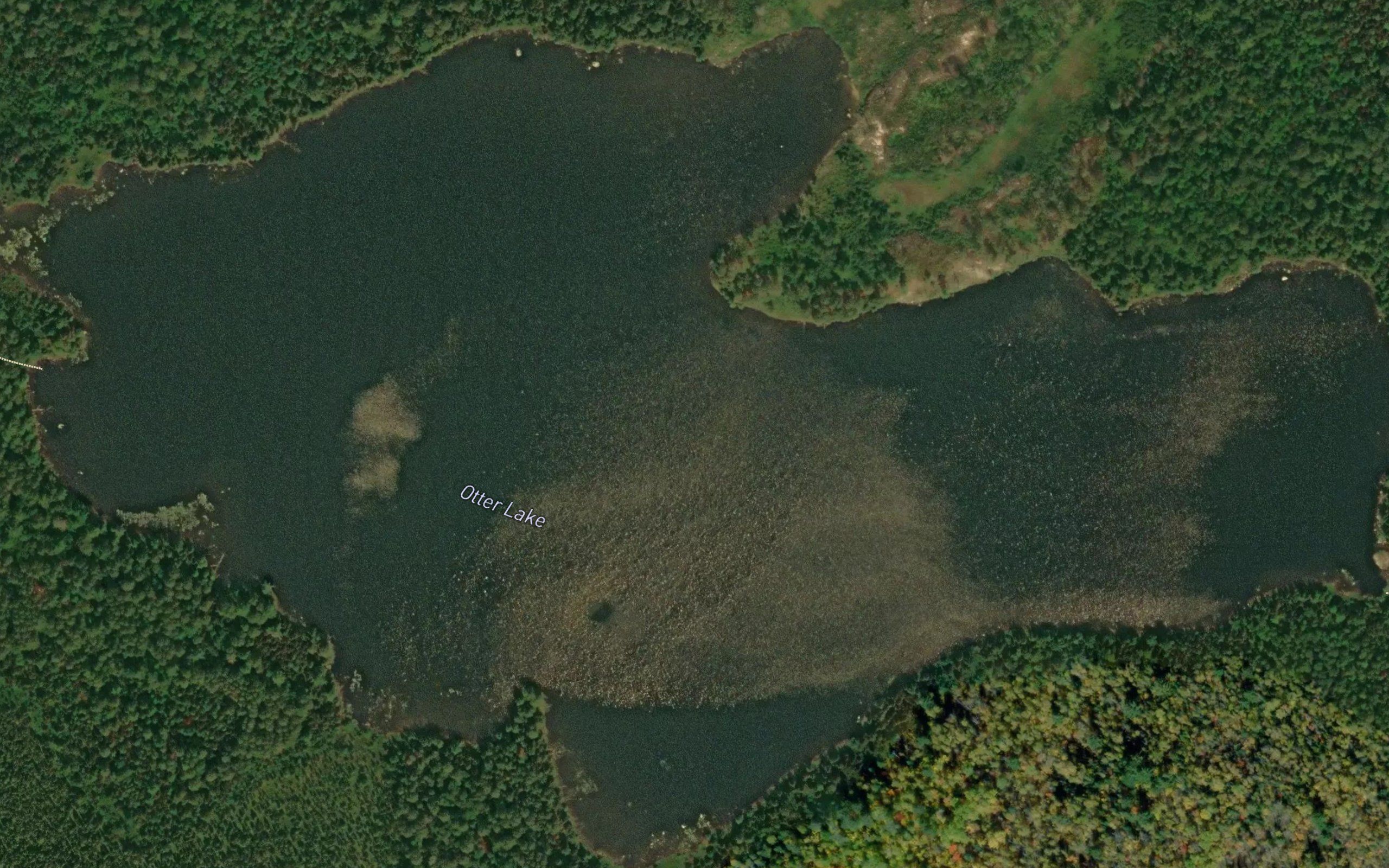 Otter Lake