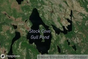 Stock Cove Gull Pond