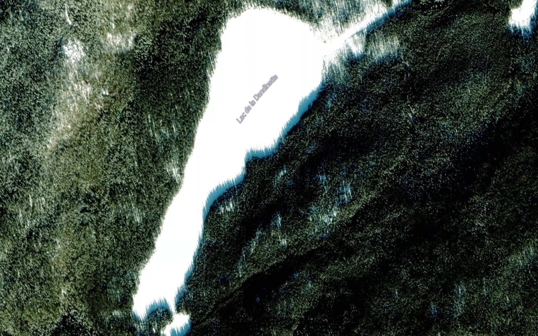 Satellite map of the Lac de la Dandinette