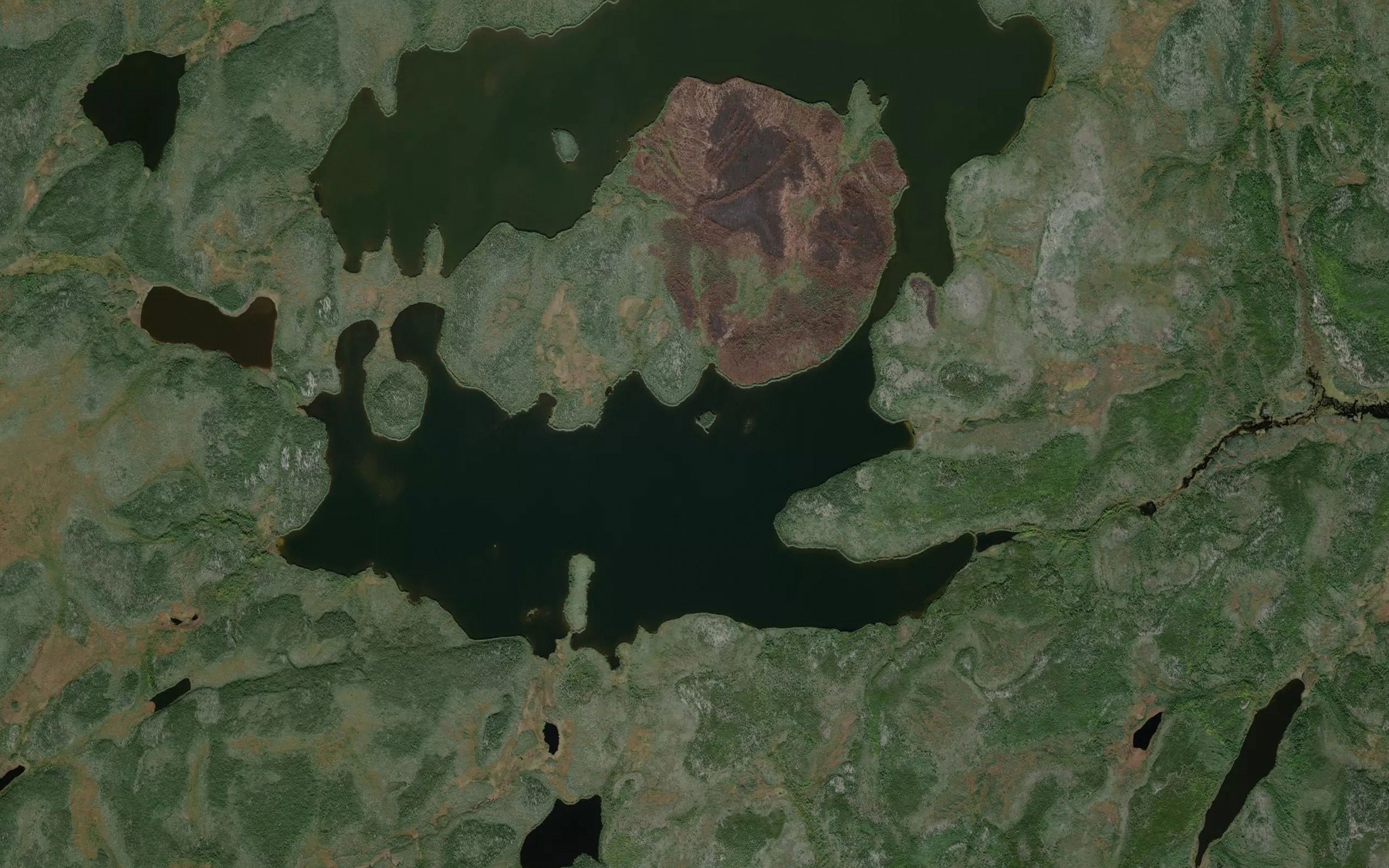 Satellite map of the Woodcock Lake