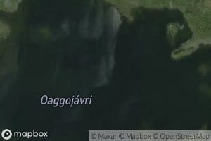 Oaggujavri