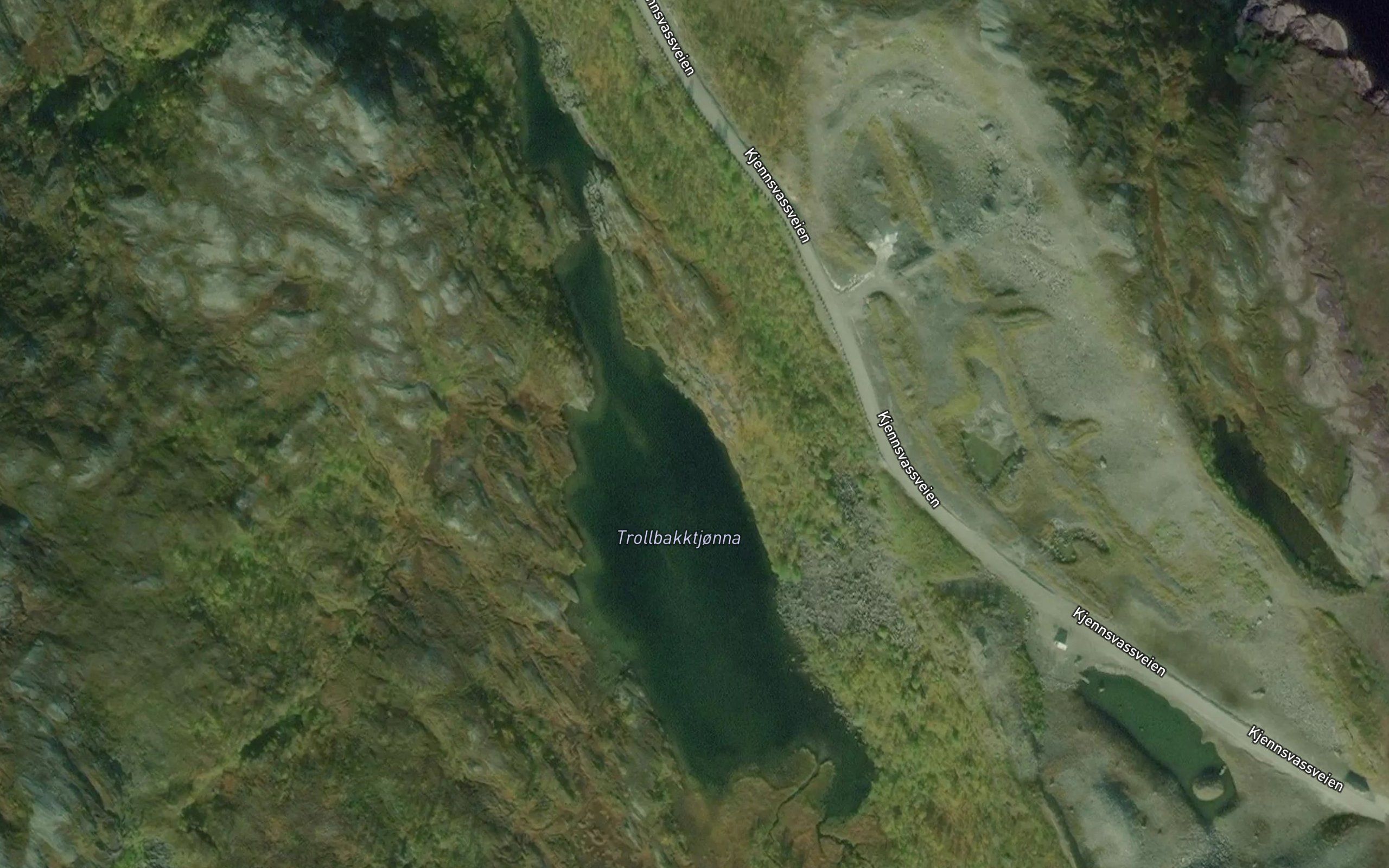 Trollbakktjonna