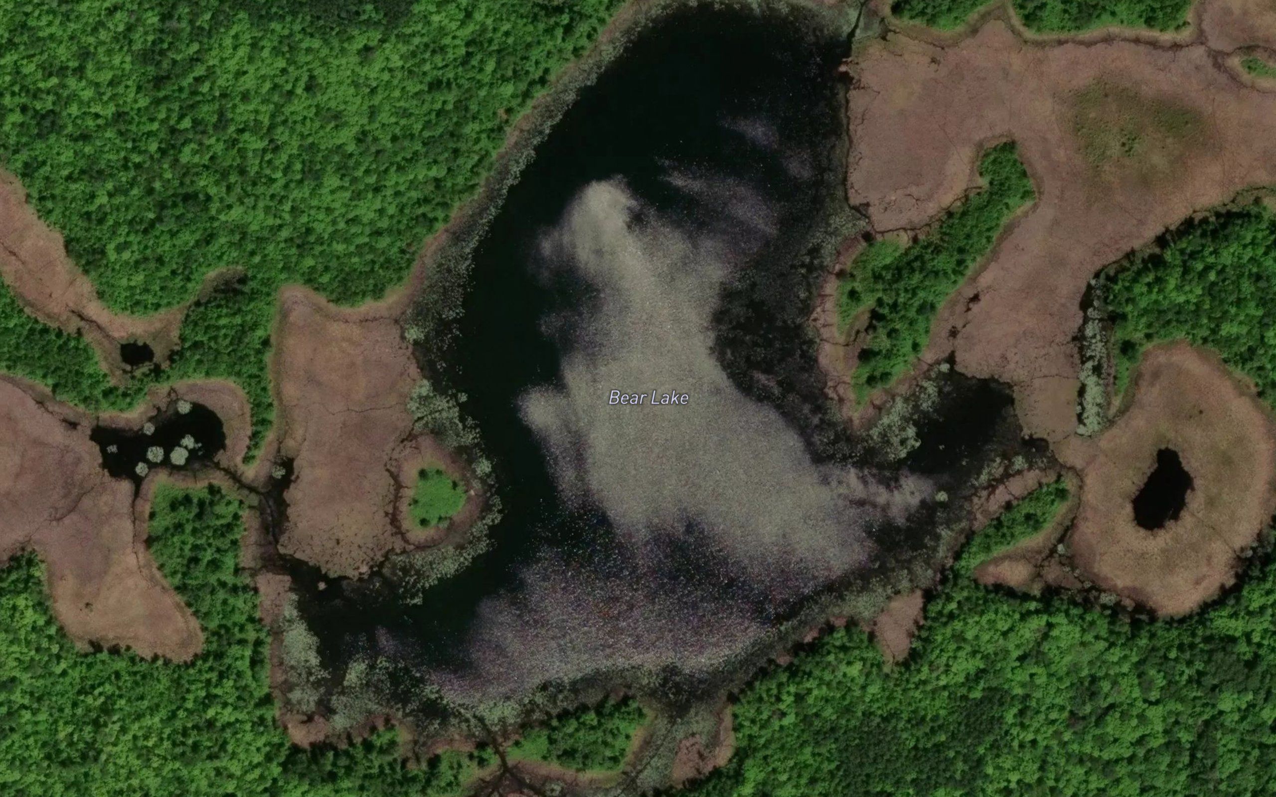 Bear Lake
