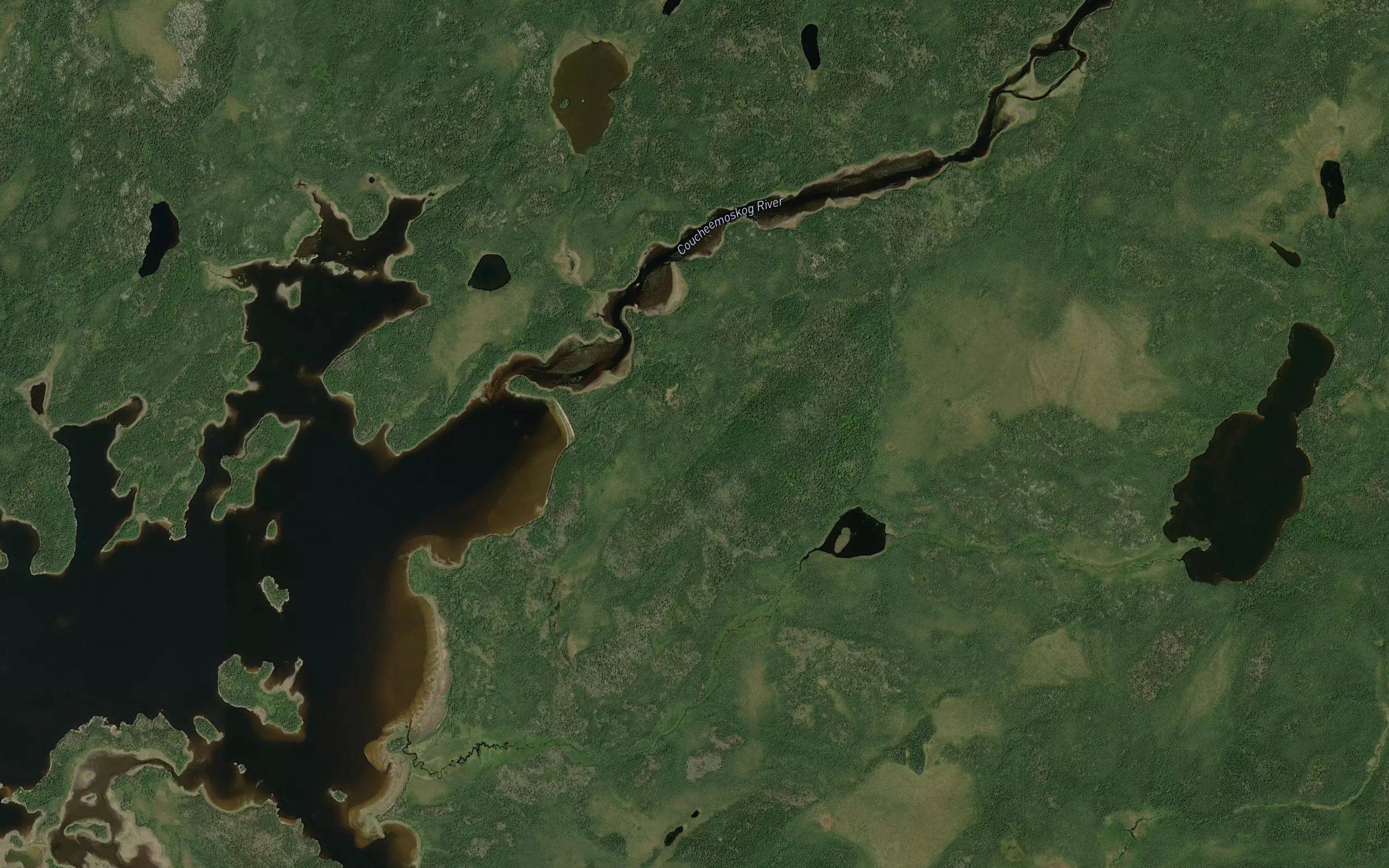 Coucheemoskog River