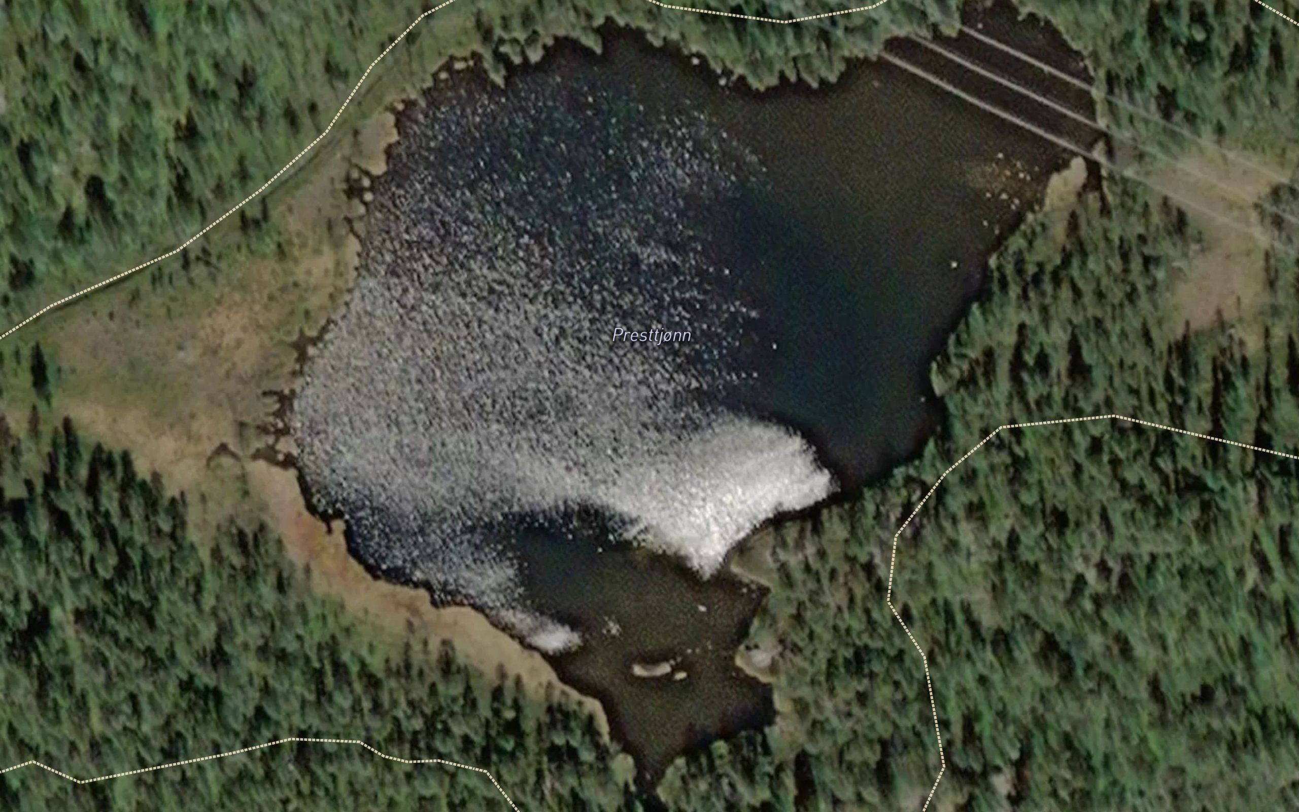 Presttjorn