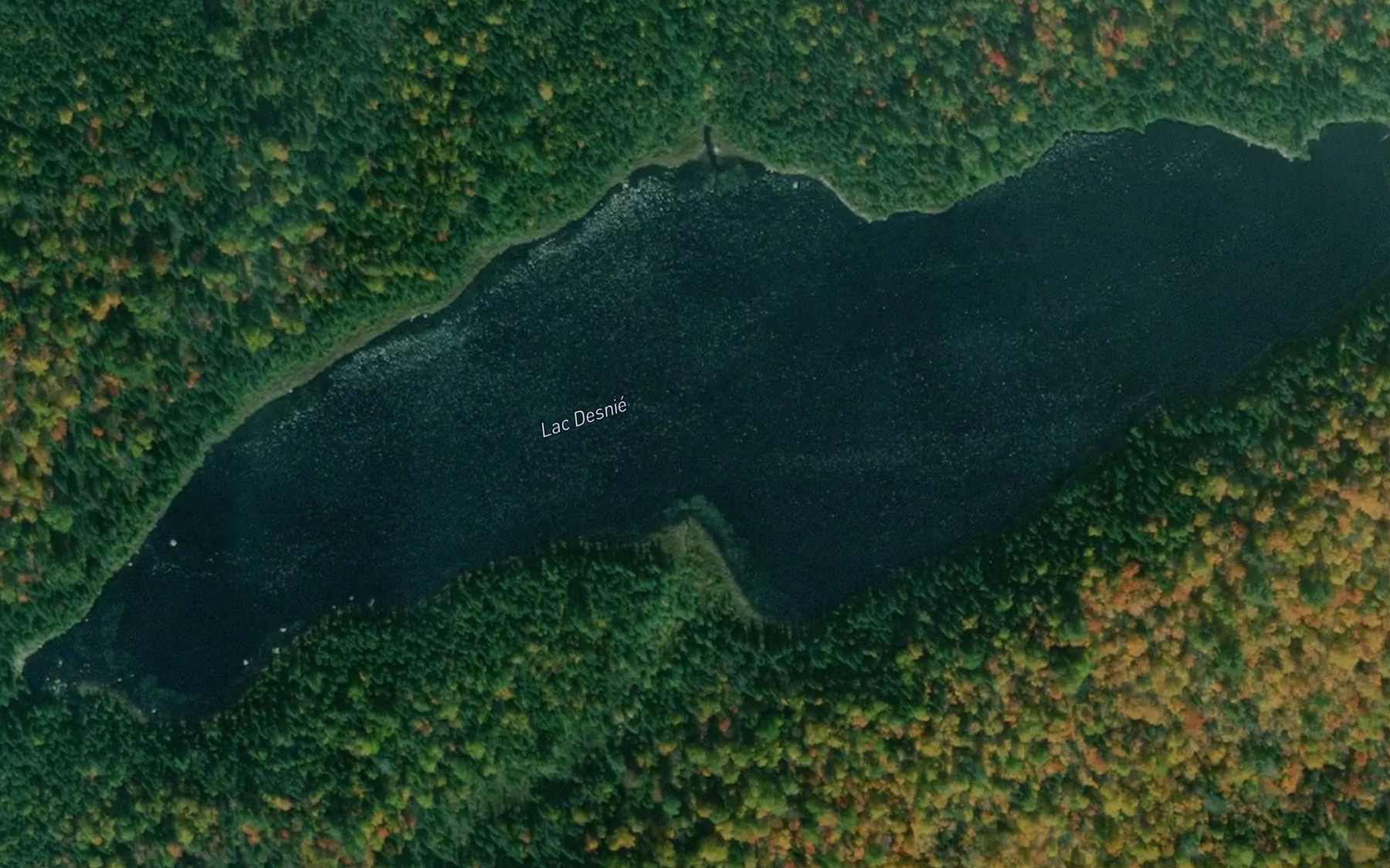 Satellite map of the Lac Desnie