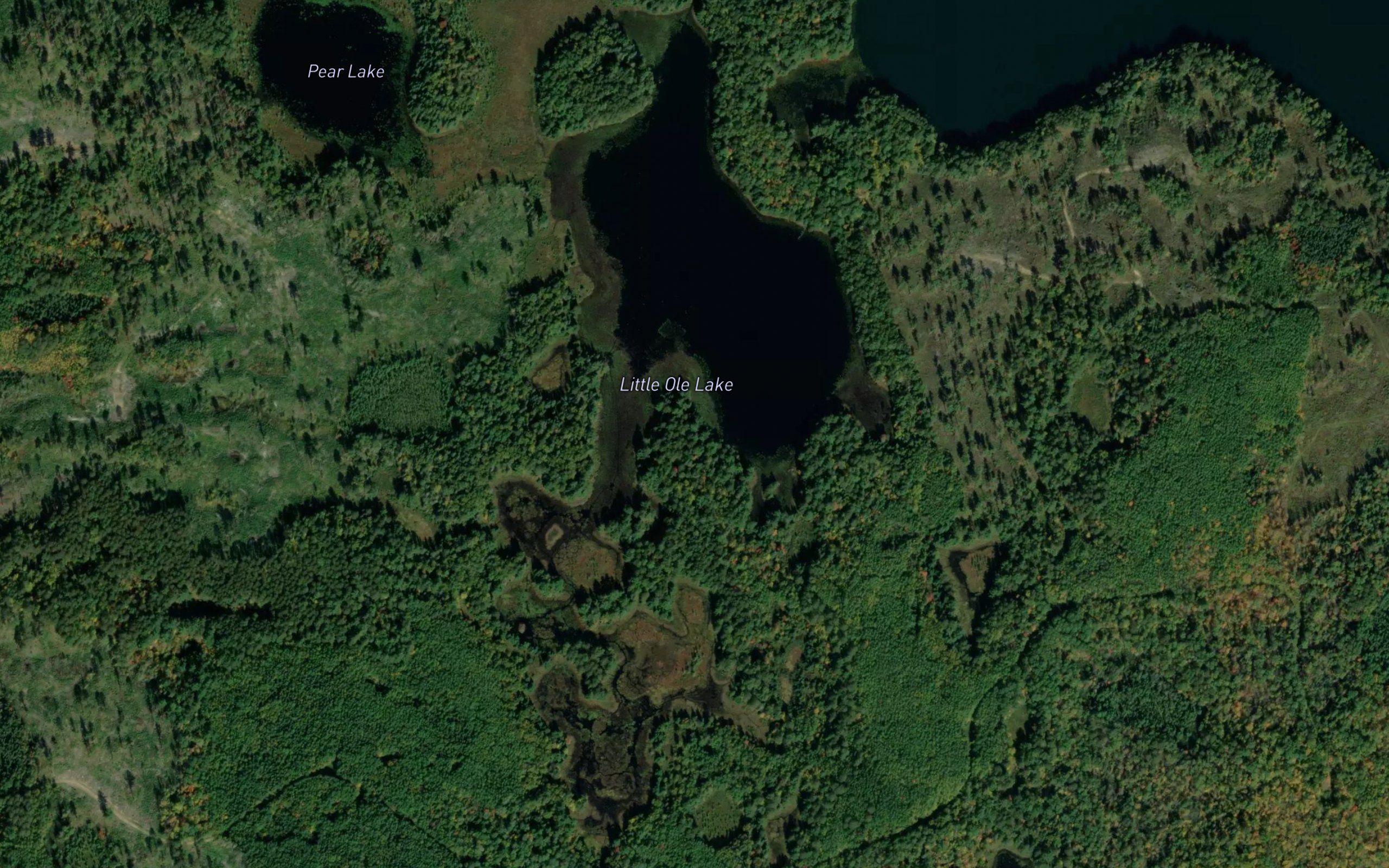 Little Ole Lake