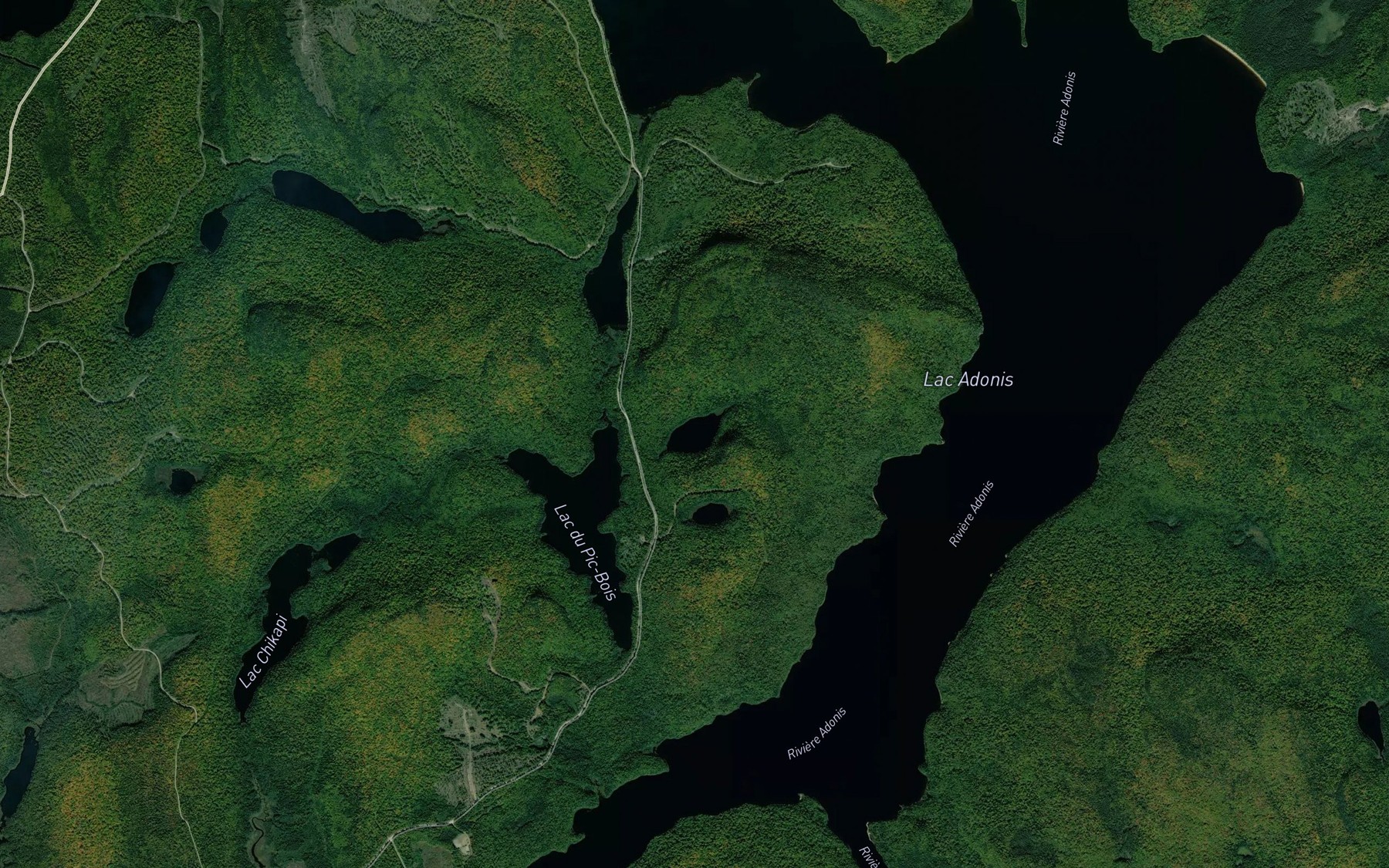 Satellite map of the Lac Alouette