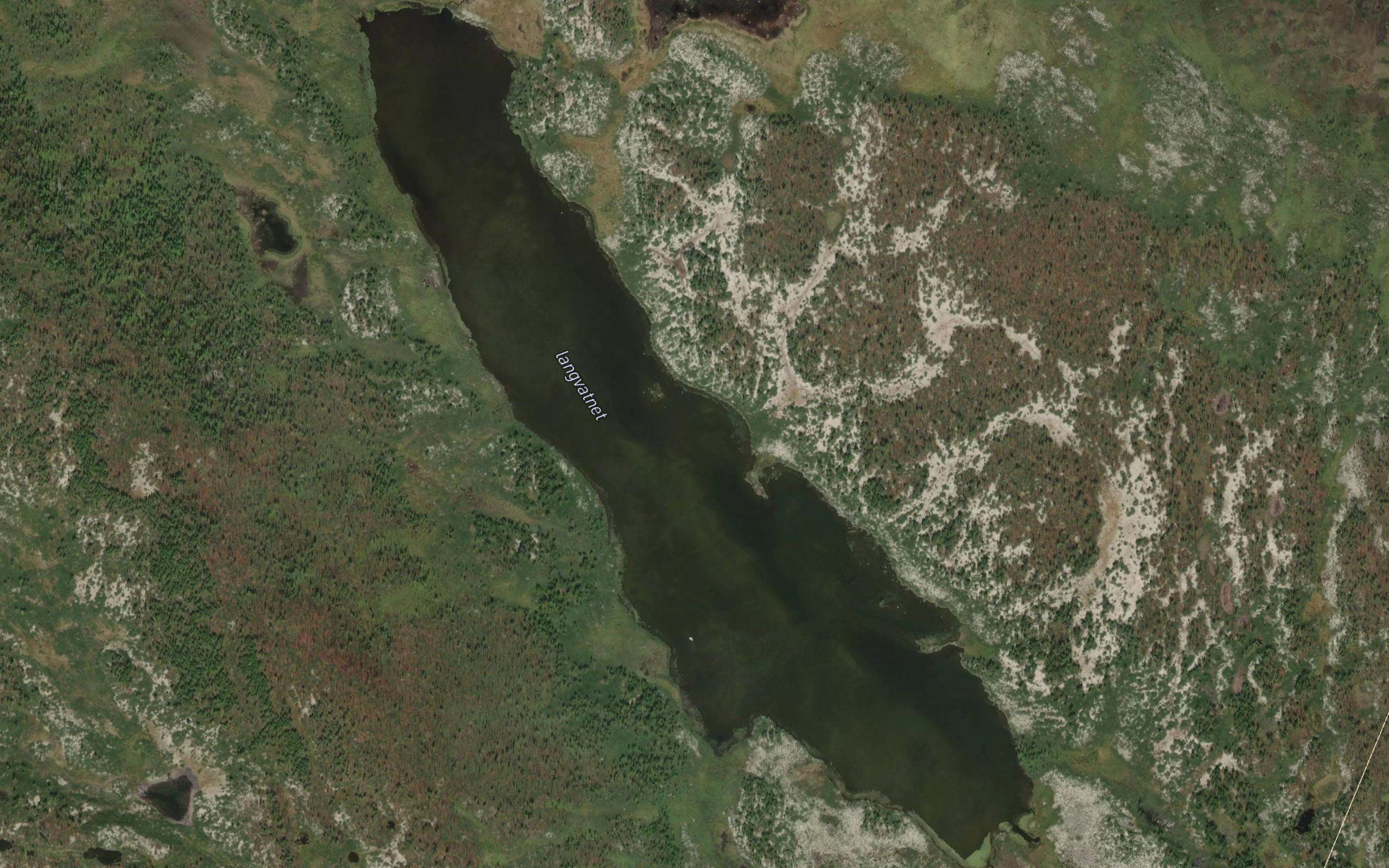 Langvatnet