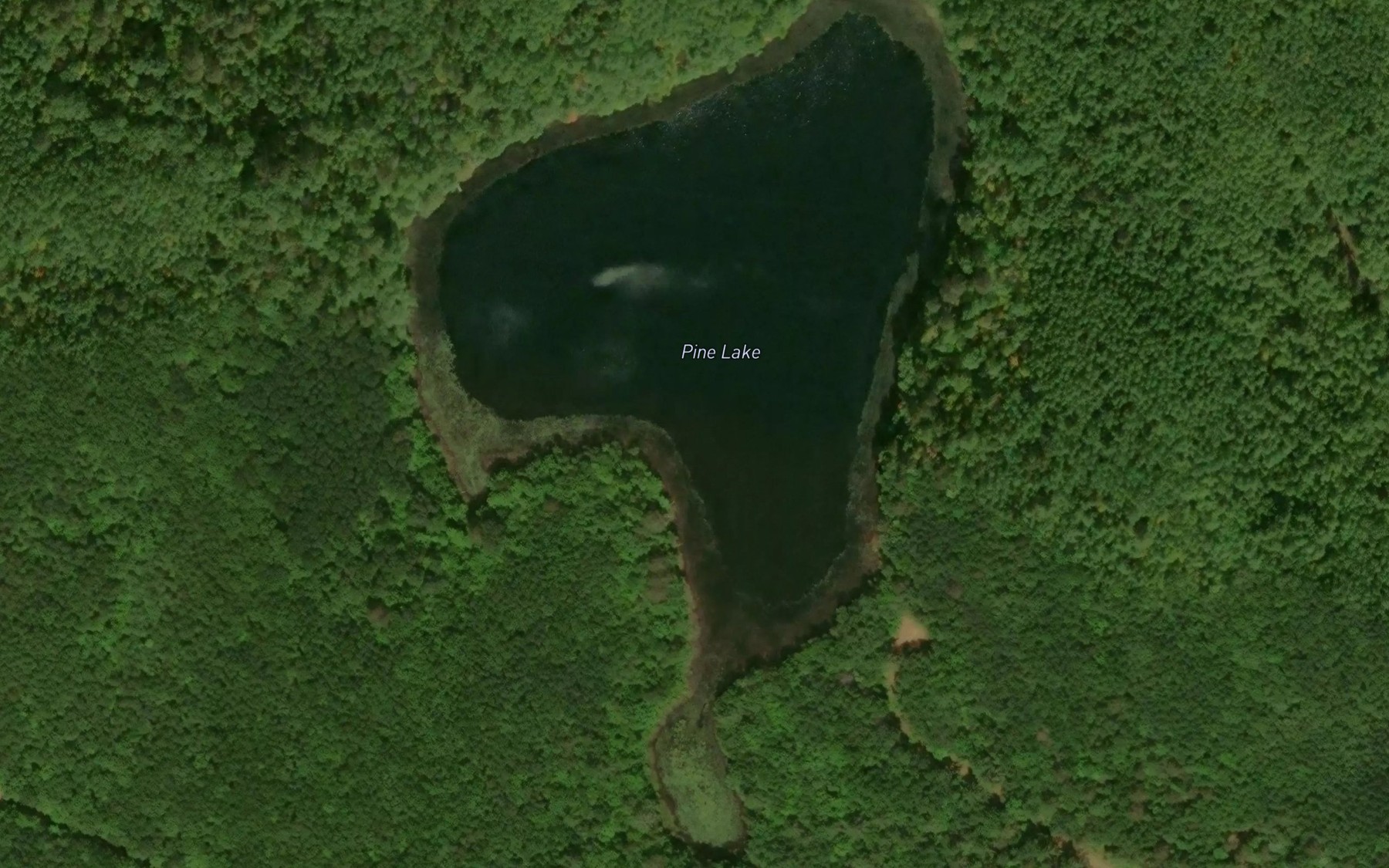 Satellite map of the Pine Lake