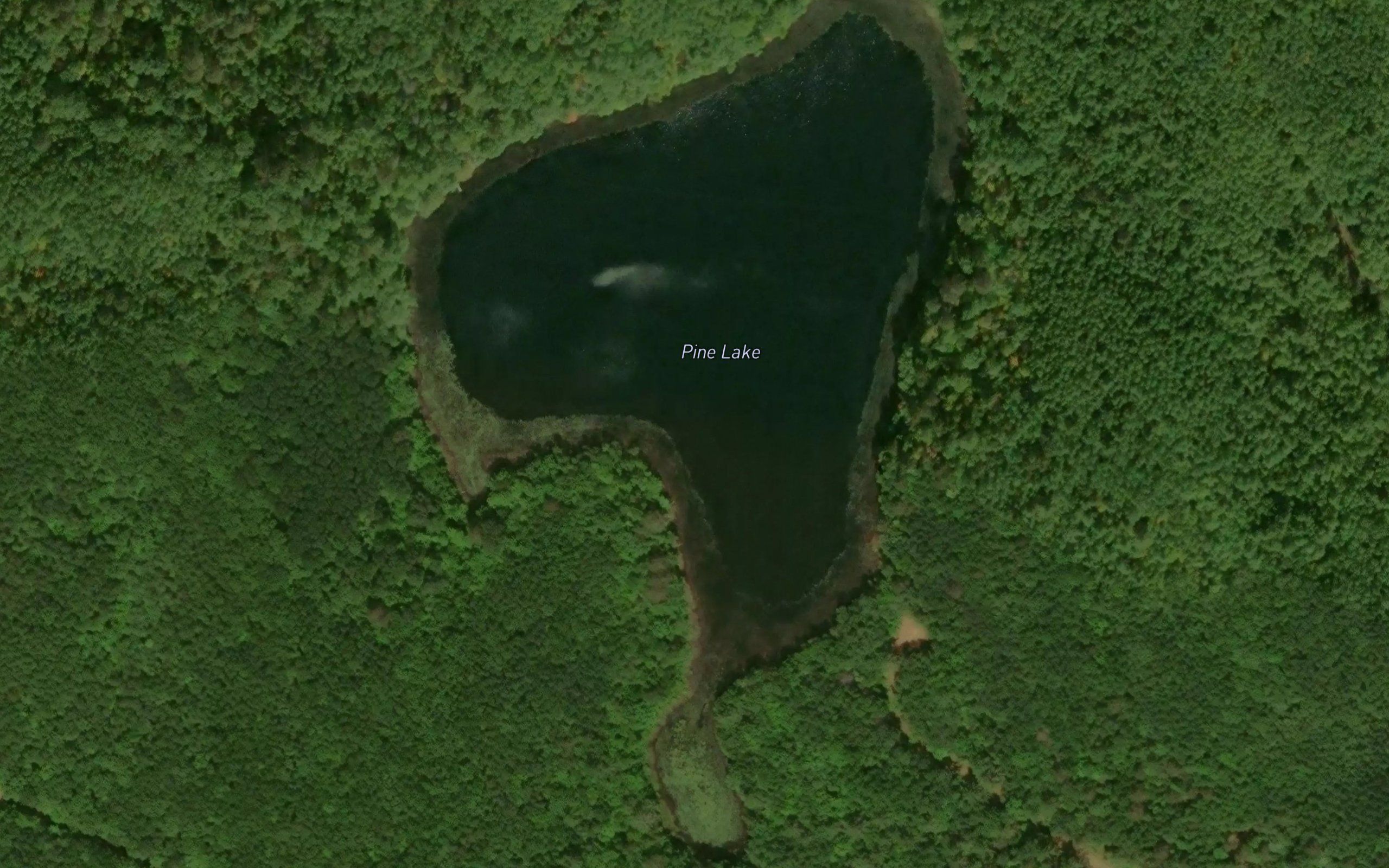 Pine Lake