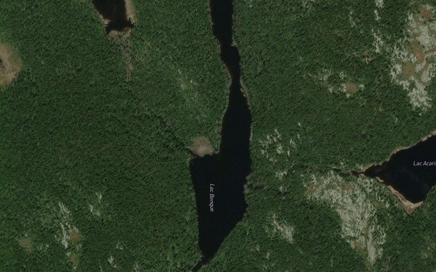 Satellite map of the Lac Benque