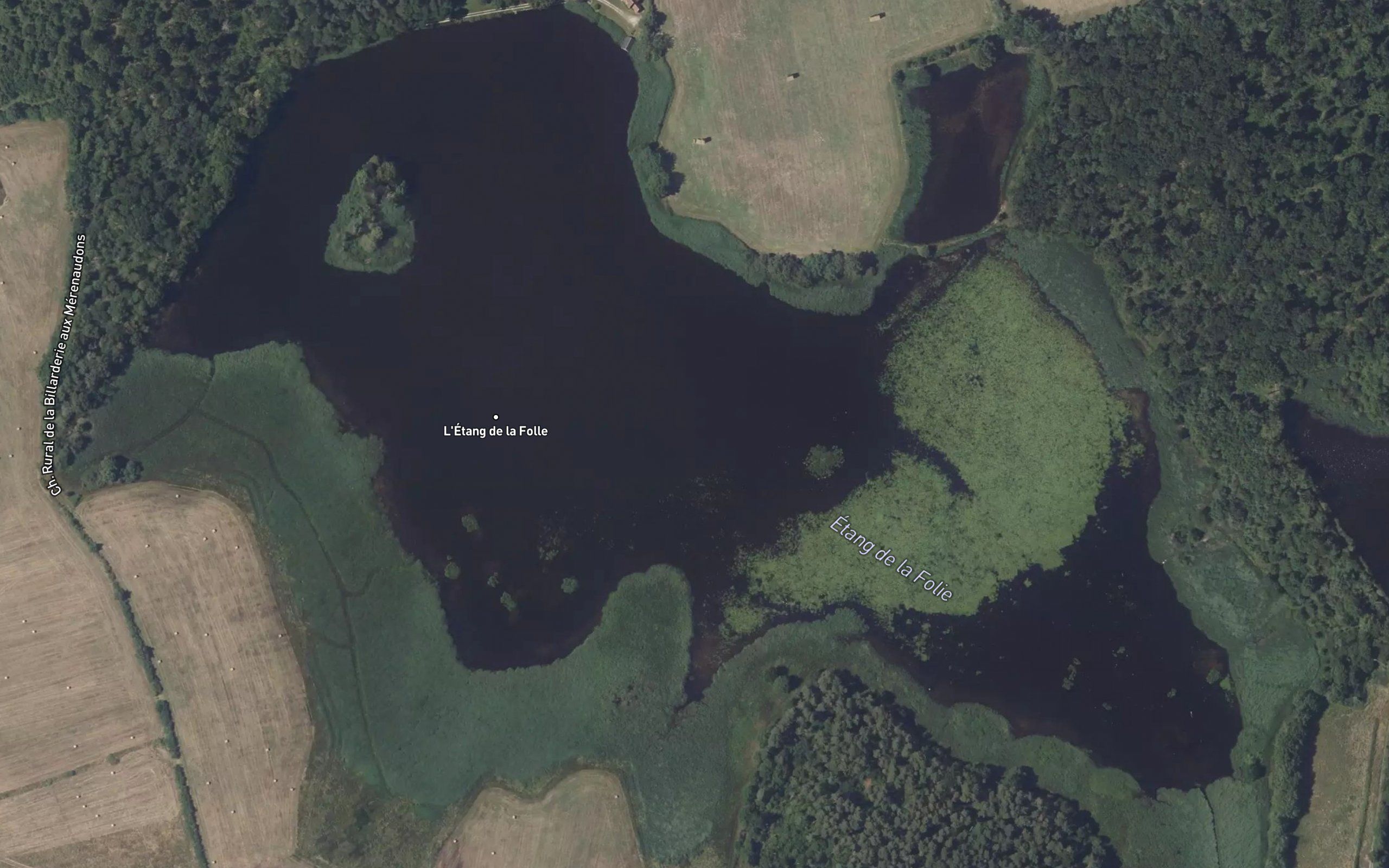 Etang de la Folie