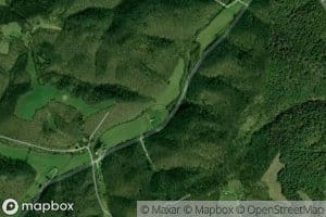 Fallen Timber Branch