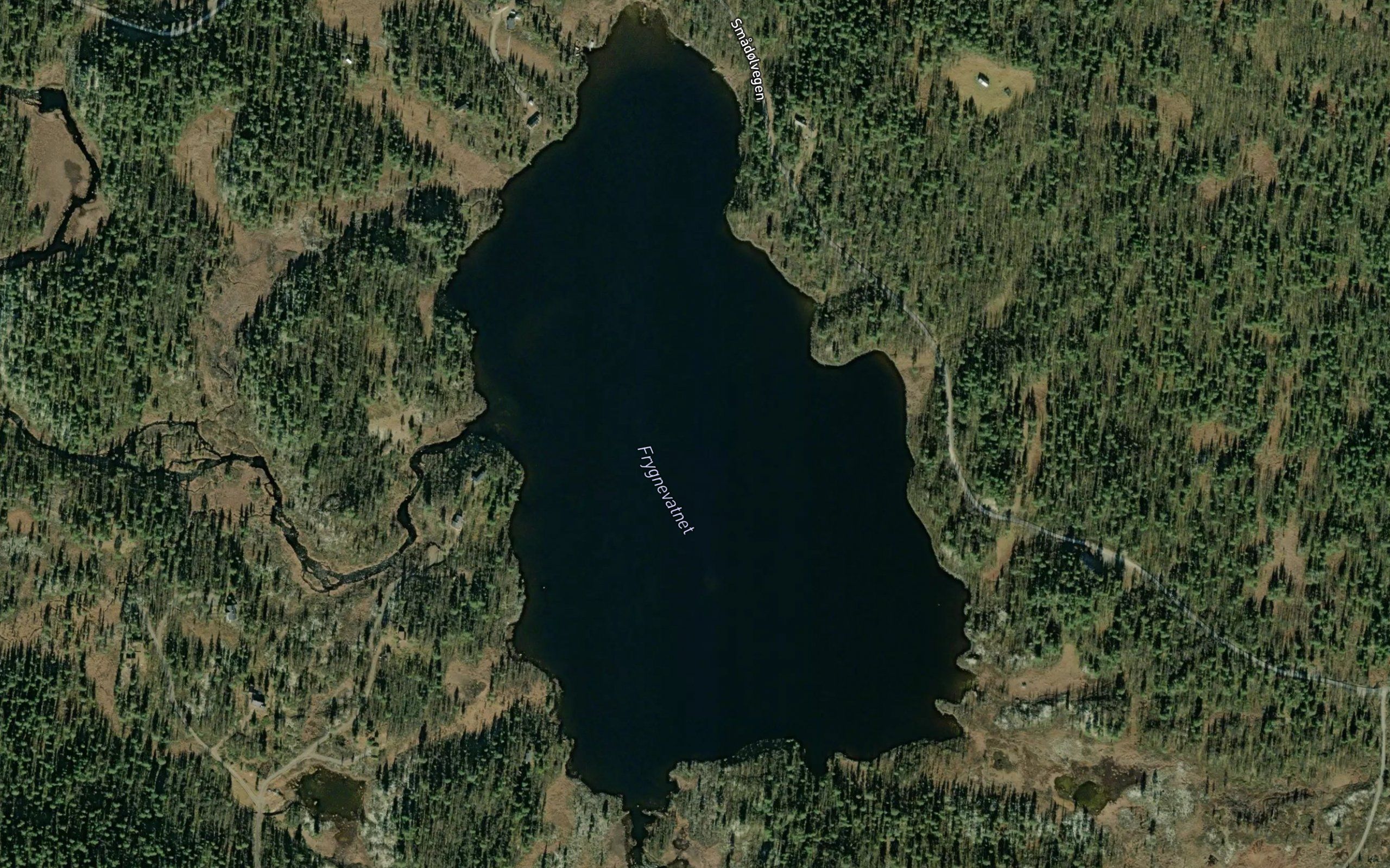 Frygnevatnet