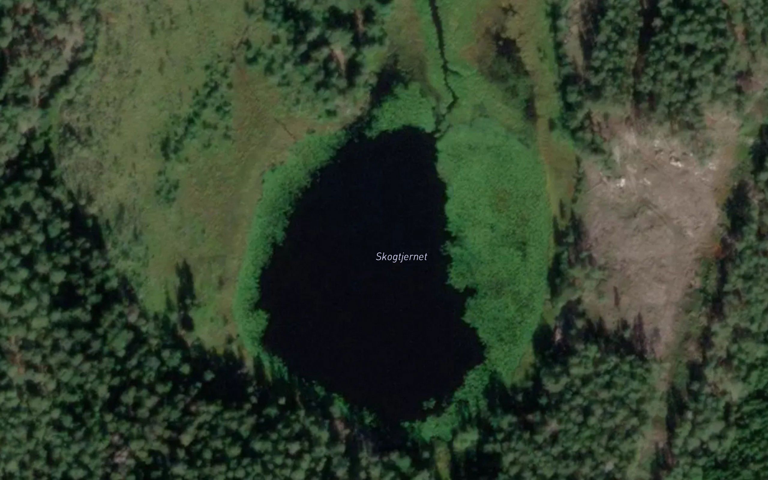 Skaugetjern