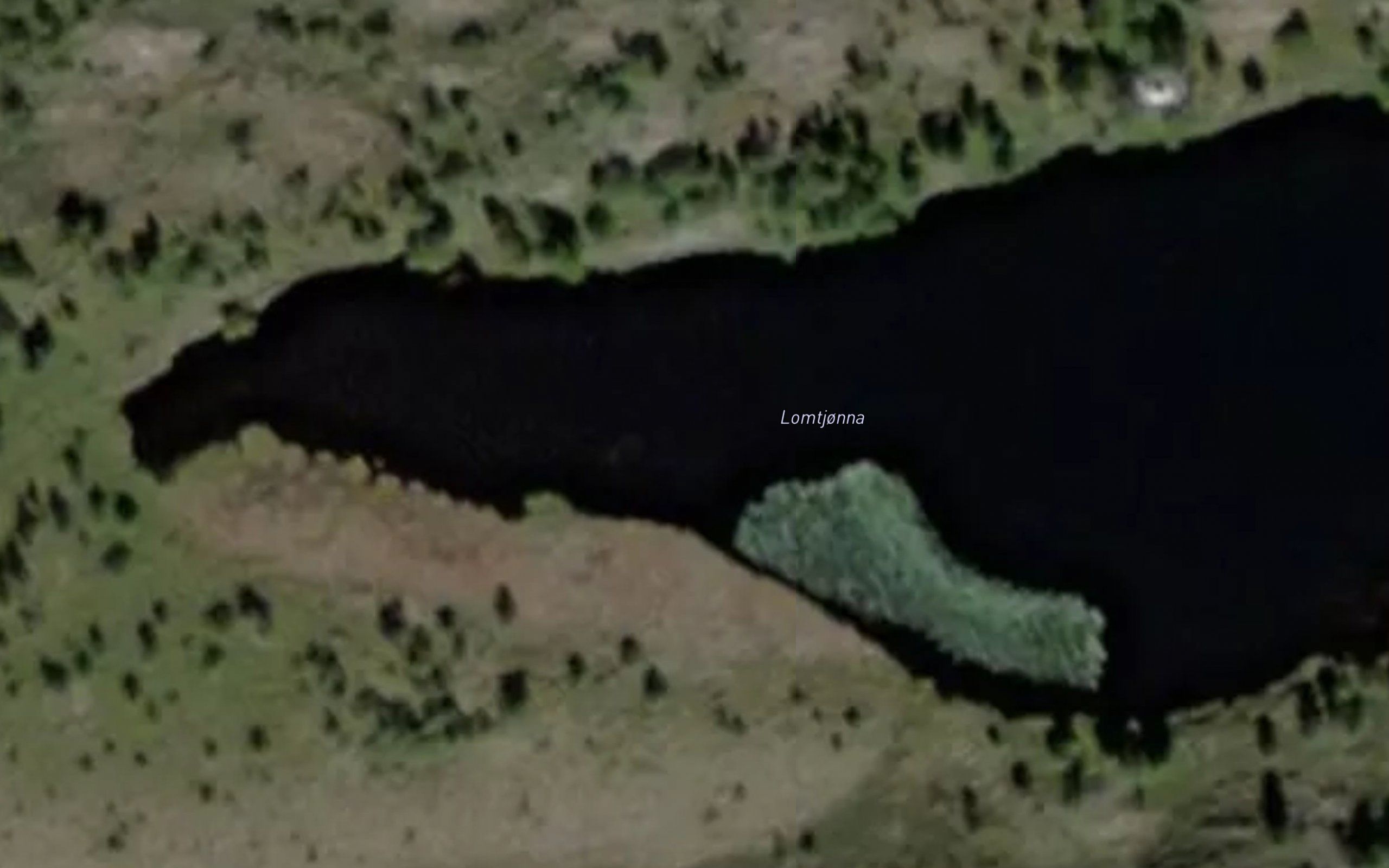 Lomtjorna
