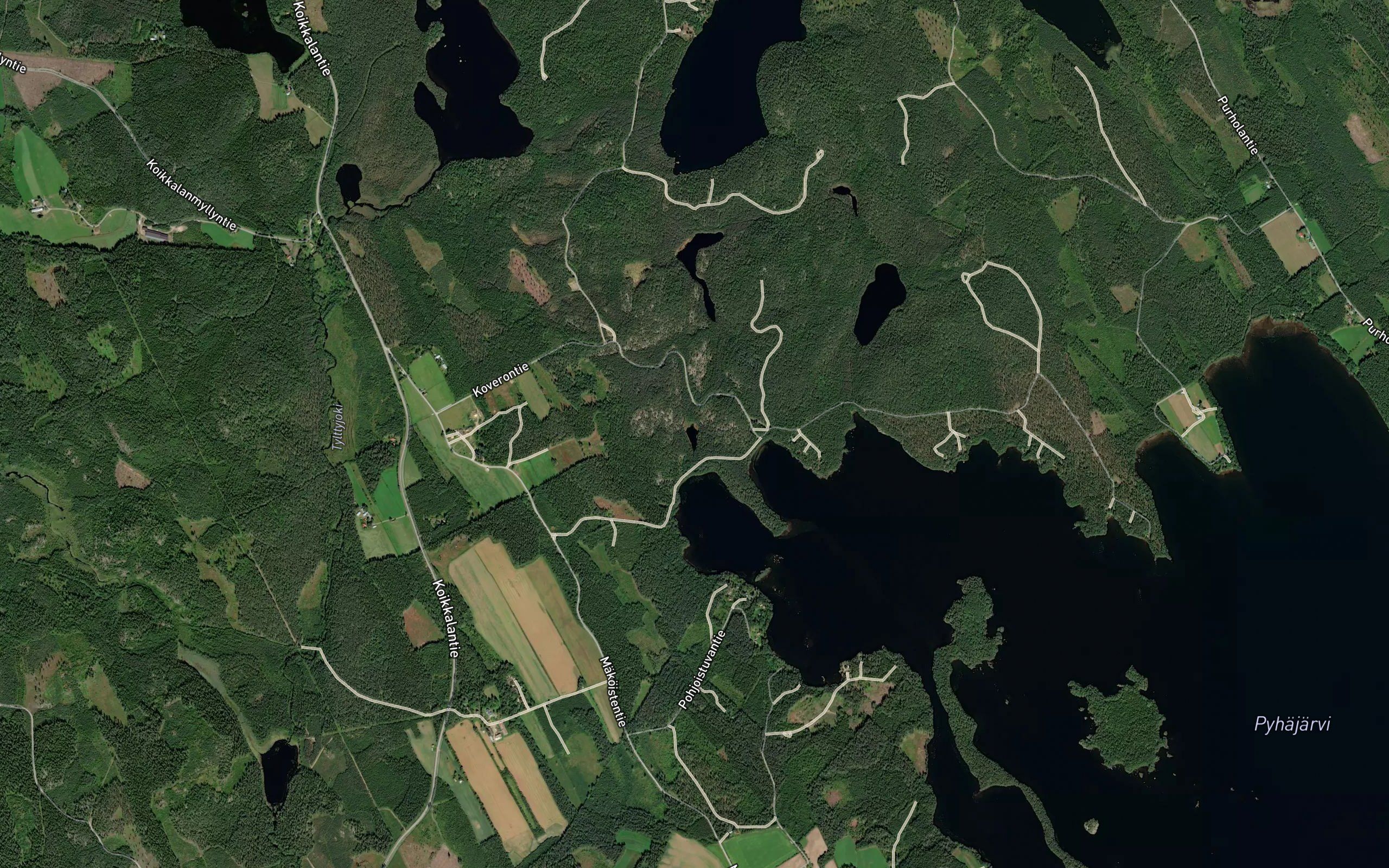 Vasikkalampi
