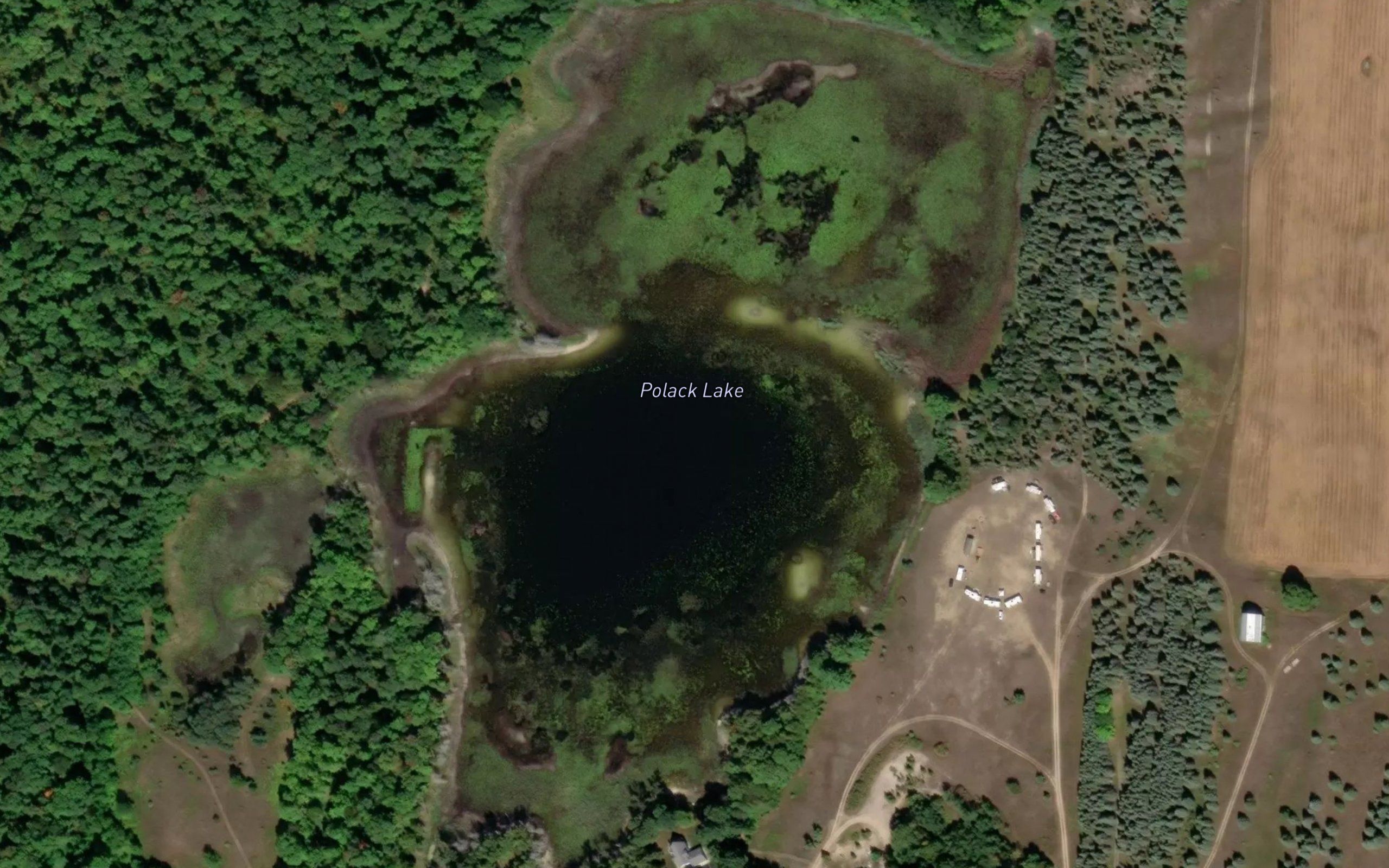 Polack Lake