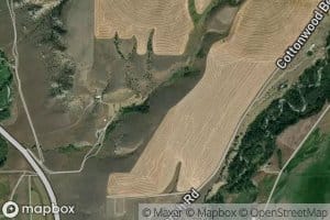 02N09E22C___01 Spring