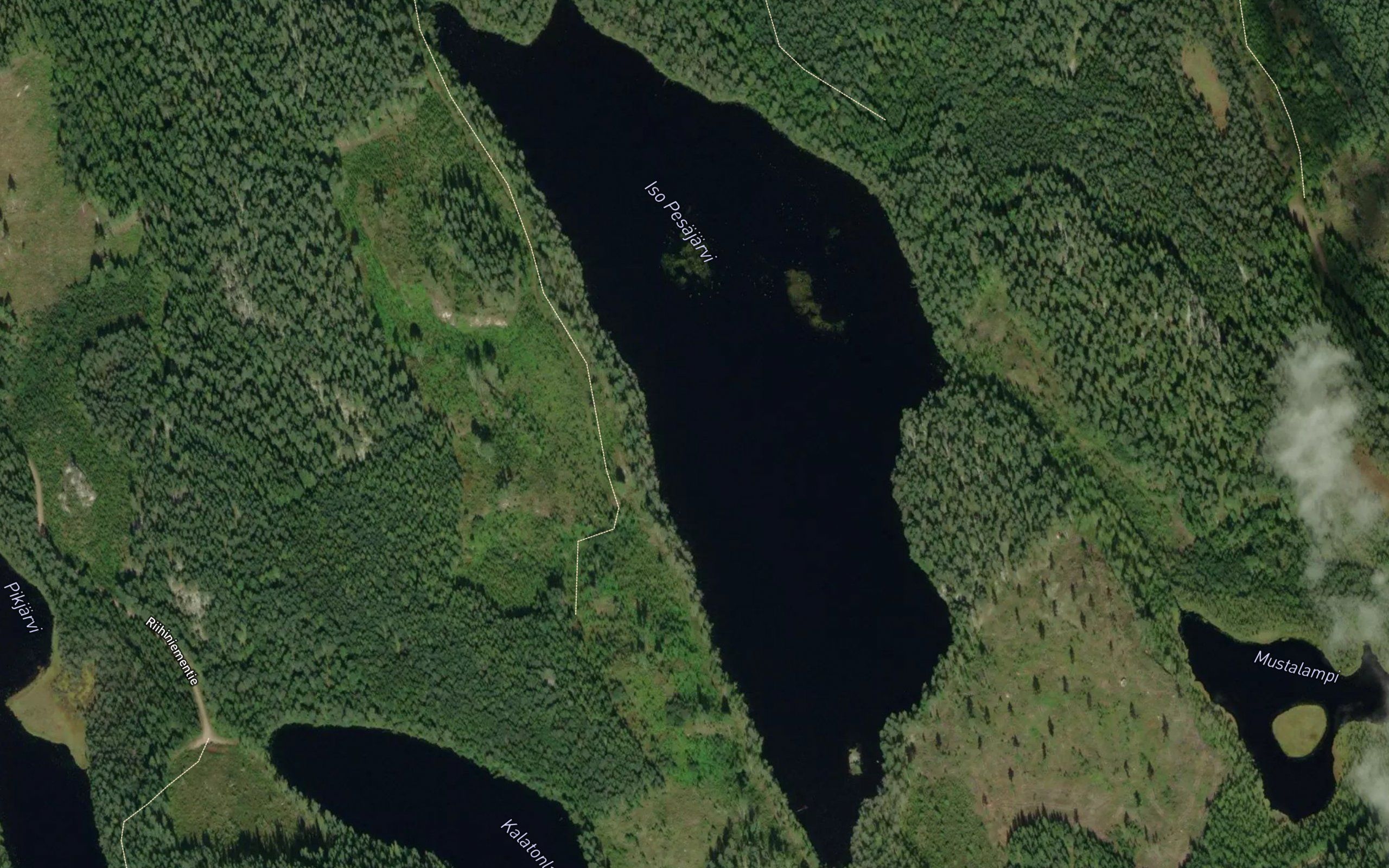 Iso Pesajarvi
