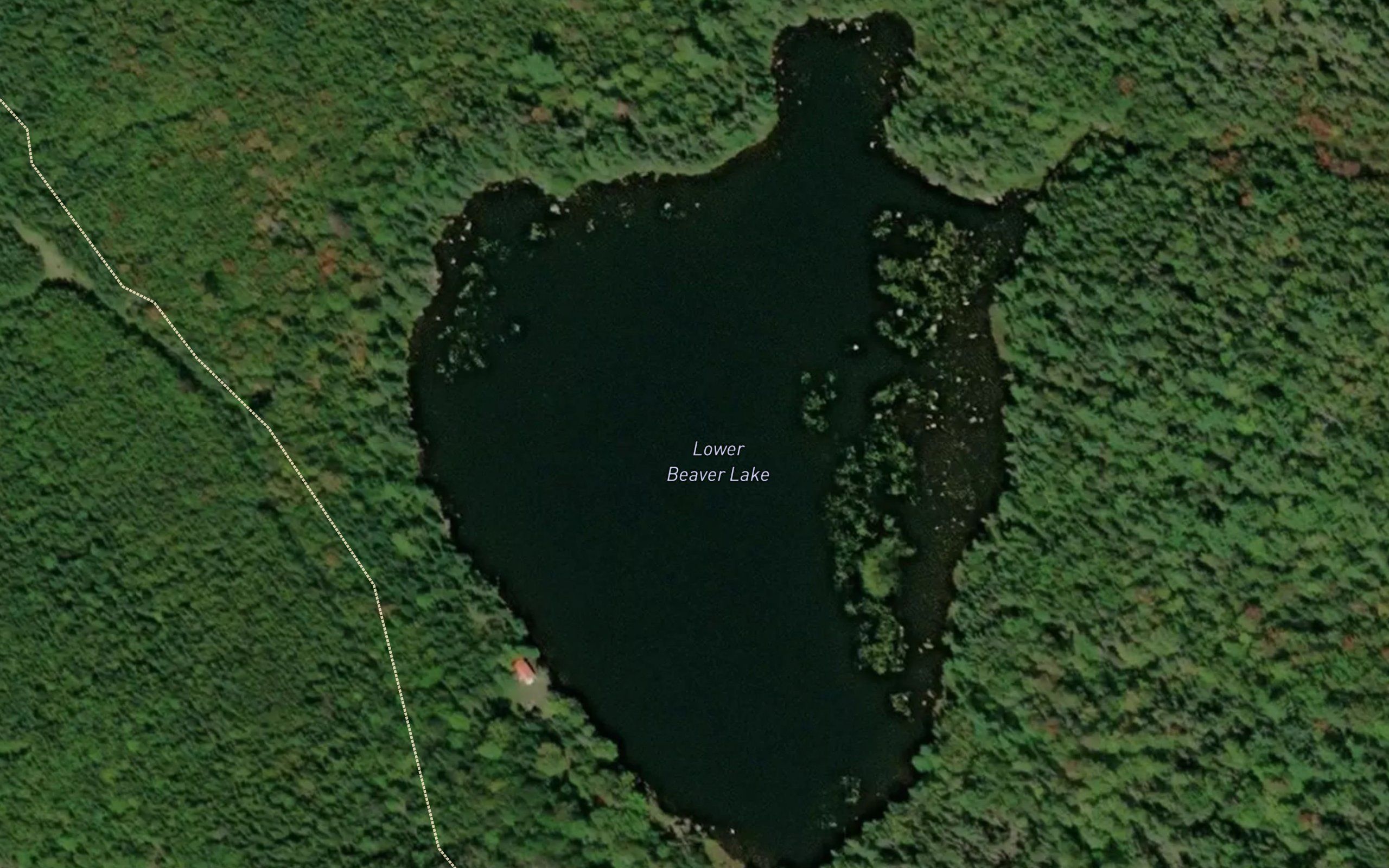 Lower Beaver Lake