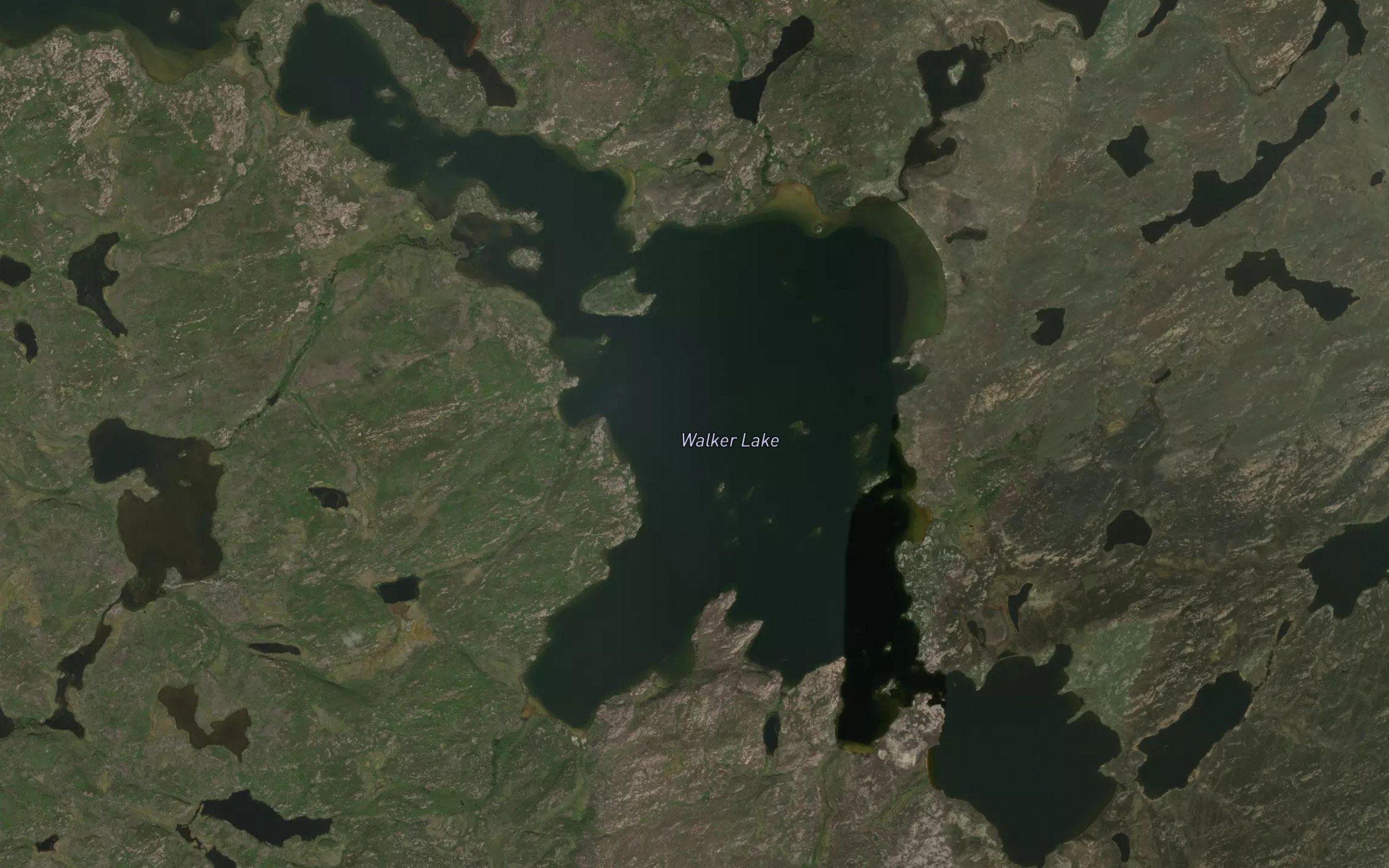 Walker Lake