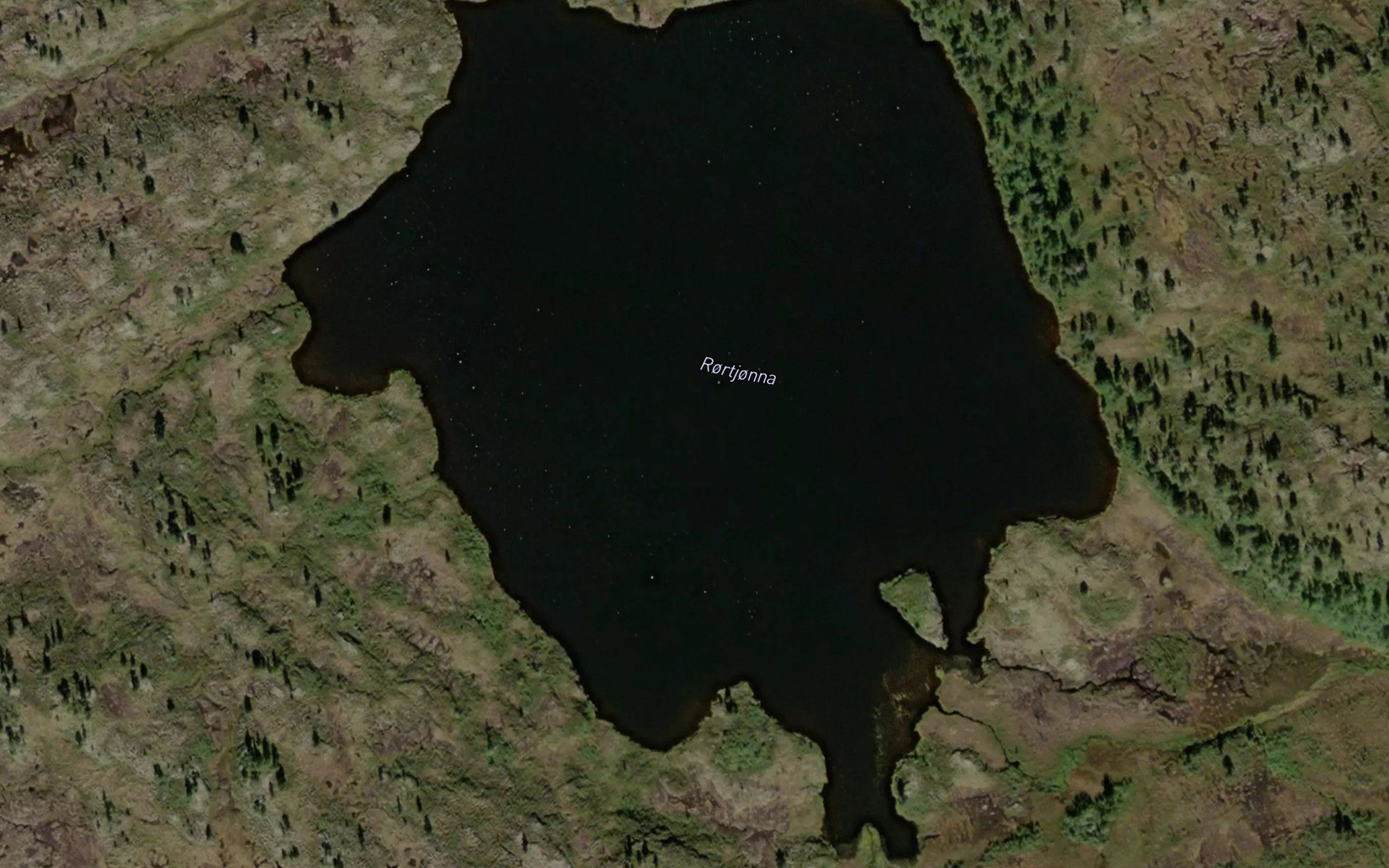 Rortjorna