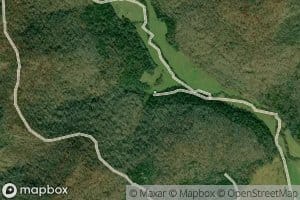 Raccoon Johnny Smith Spring