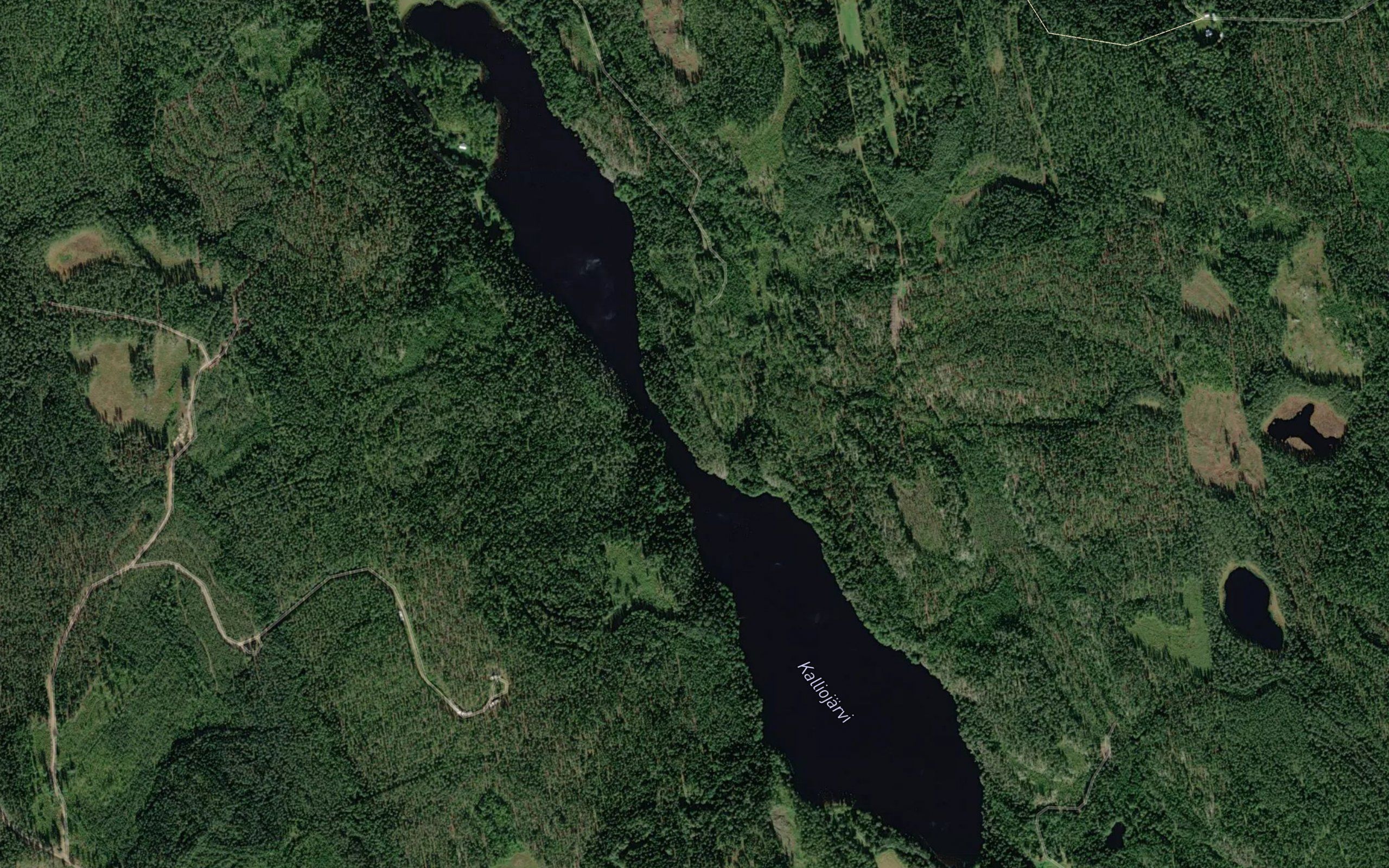 Kalliojarvi