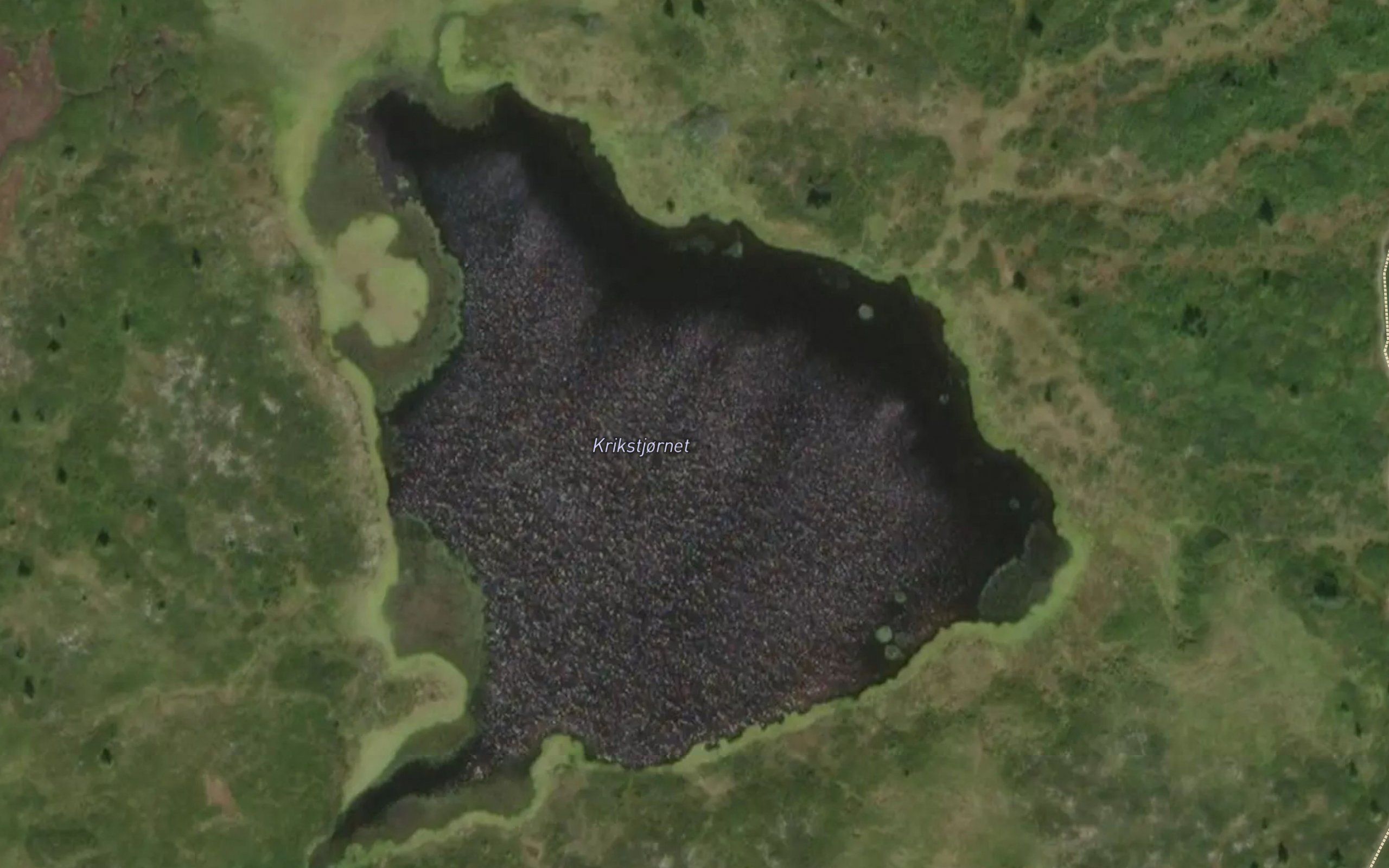 Krikstjornet