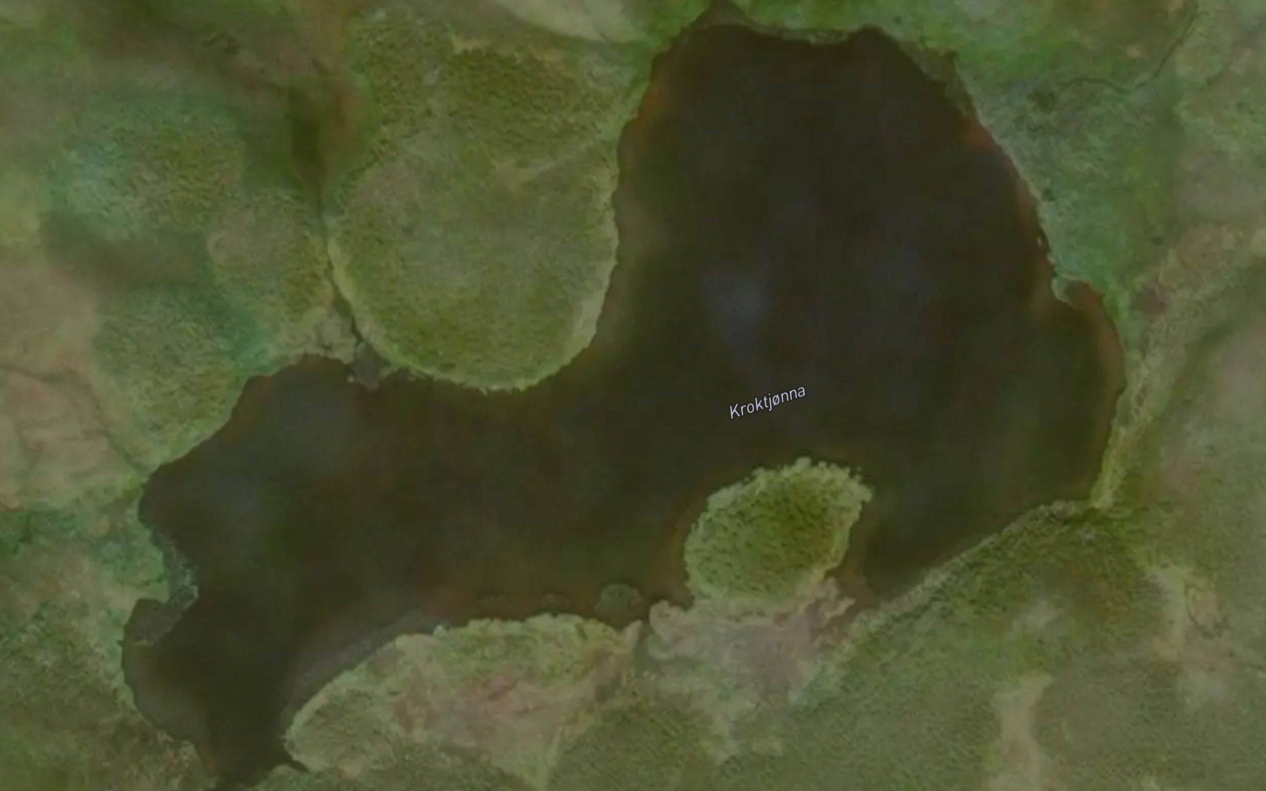 Kroktjorna