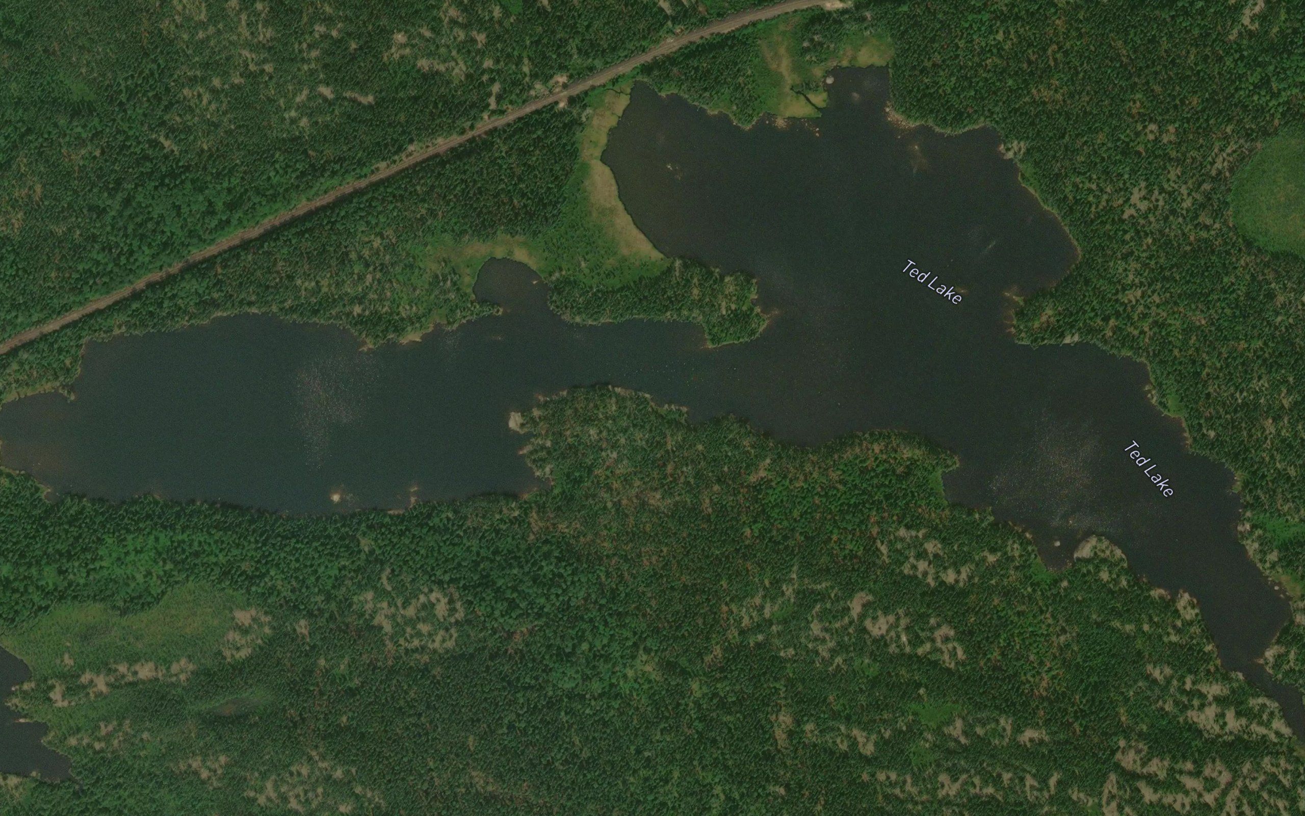 Ted Lake