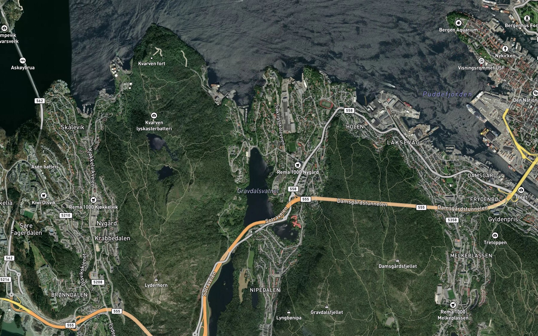 Satellite map of the Skjeneviken