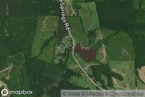 Panacea Springs