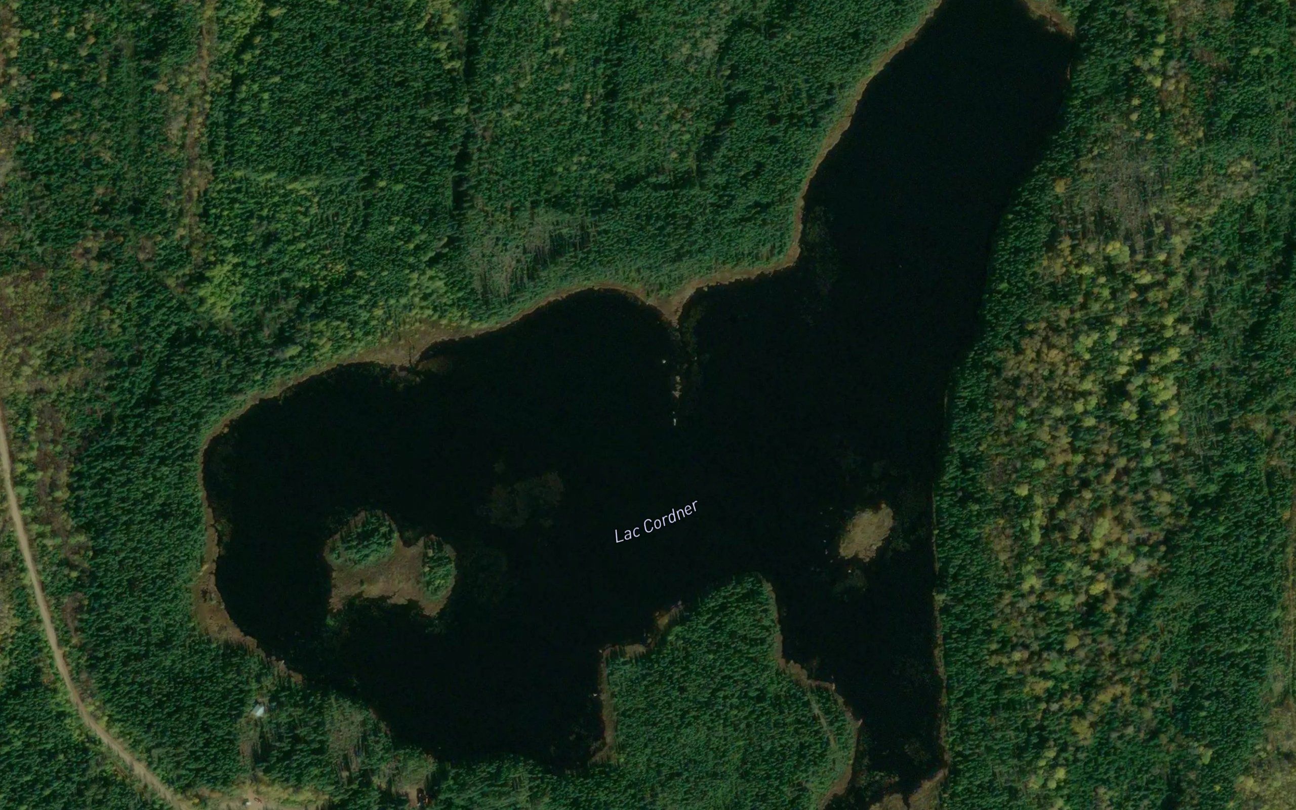 Lac Cordner