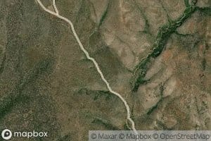 Yellow Jacket Spring