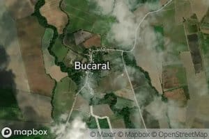 Cano Bucaral