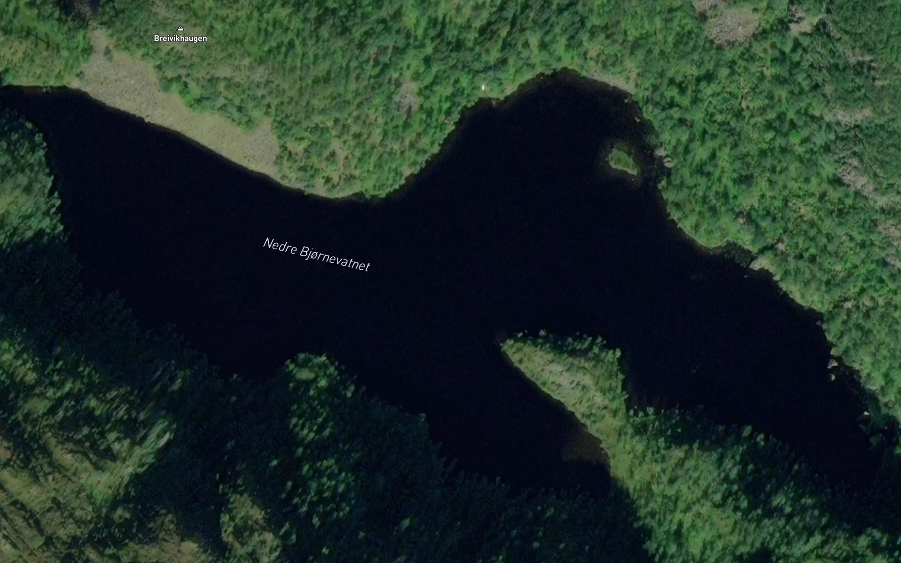 Satellite map of the Nedre Bjornevatnet